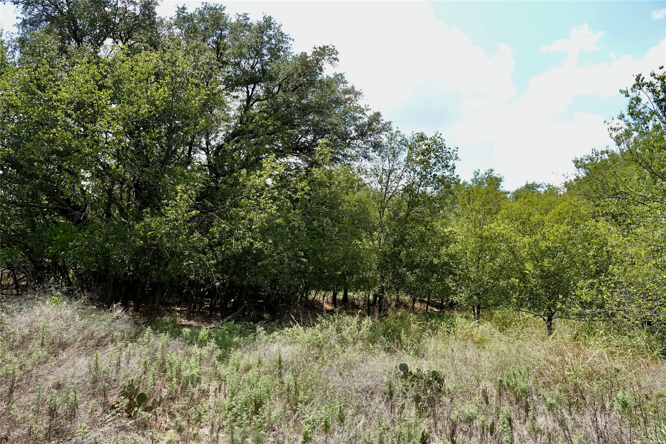 1407 W Maple Goldthwaite TX 76844
