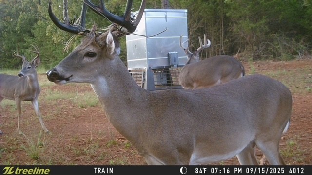 16092 County Road 440 Lindale TX 75771