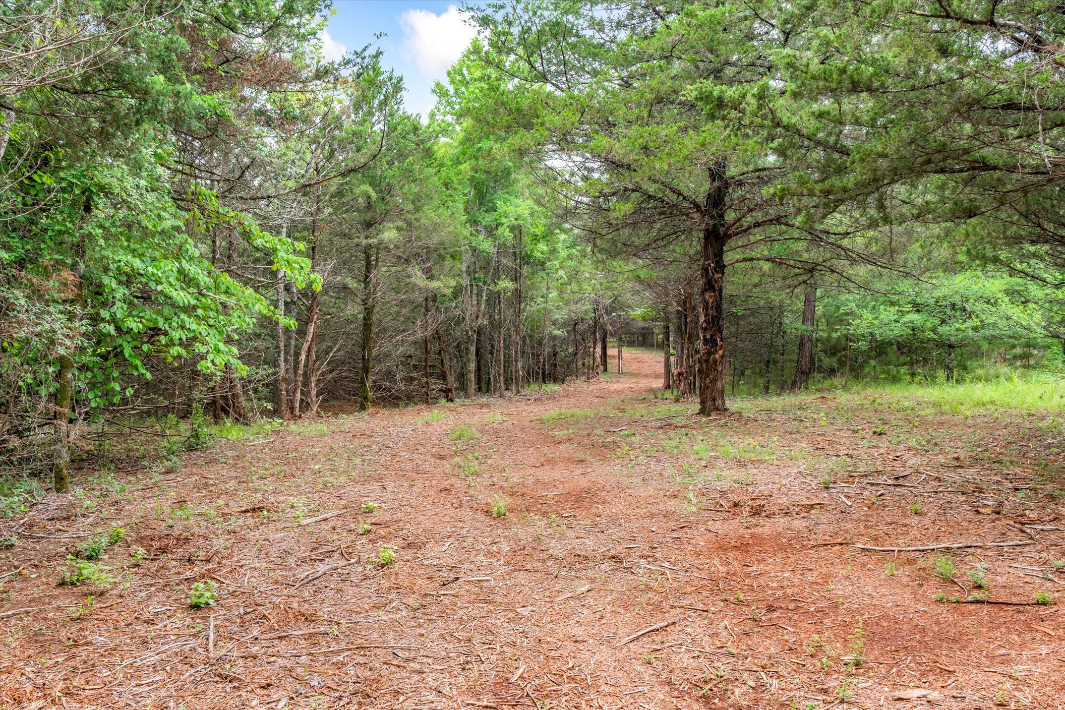 16092 County Road 440 Lindale TX 75771