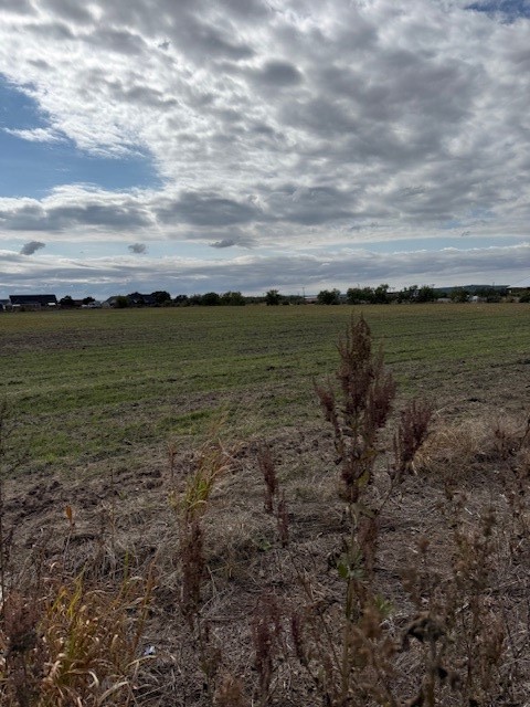 Tbd Fm 1750 Road Abilene TX 79602
