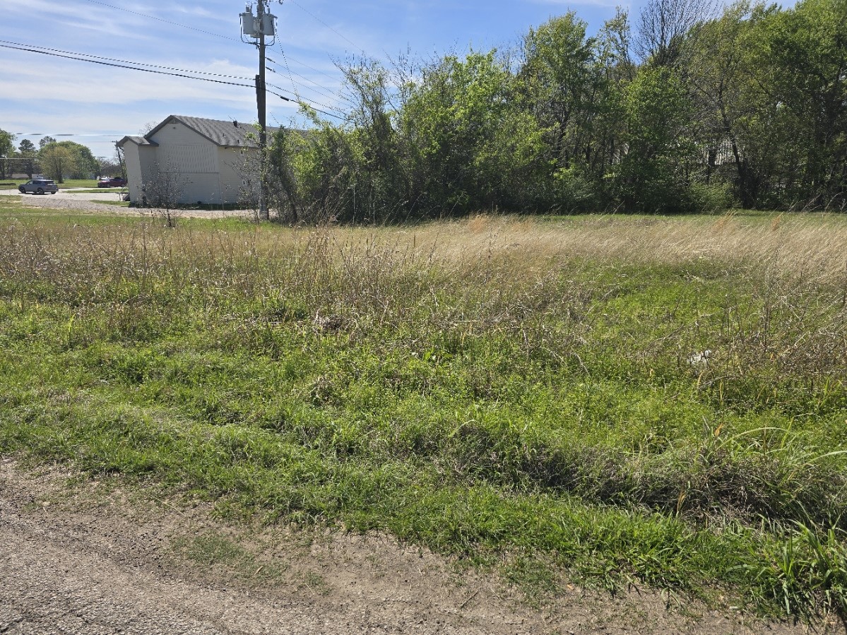 Lot 38 Loon Bay Drive Gun Barrel City TX 75156