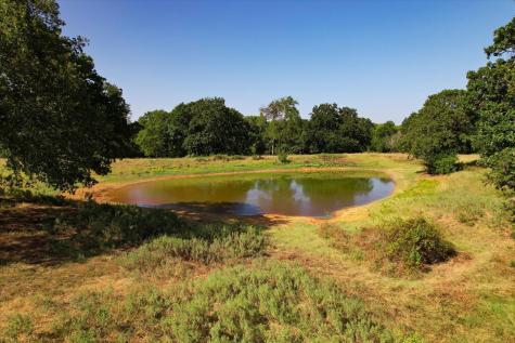 12029 Fishtrap Road Aubrey TX 76227