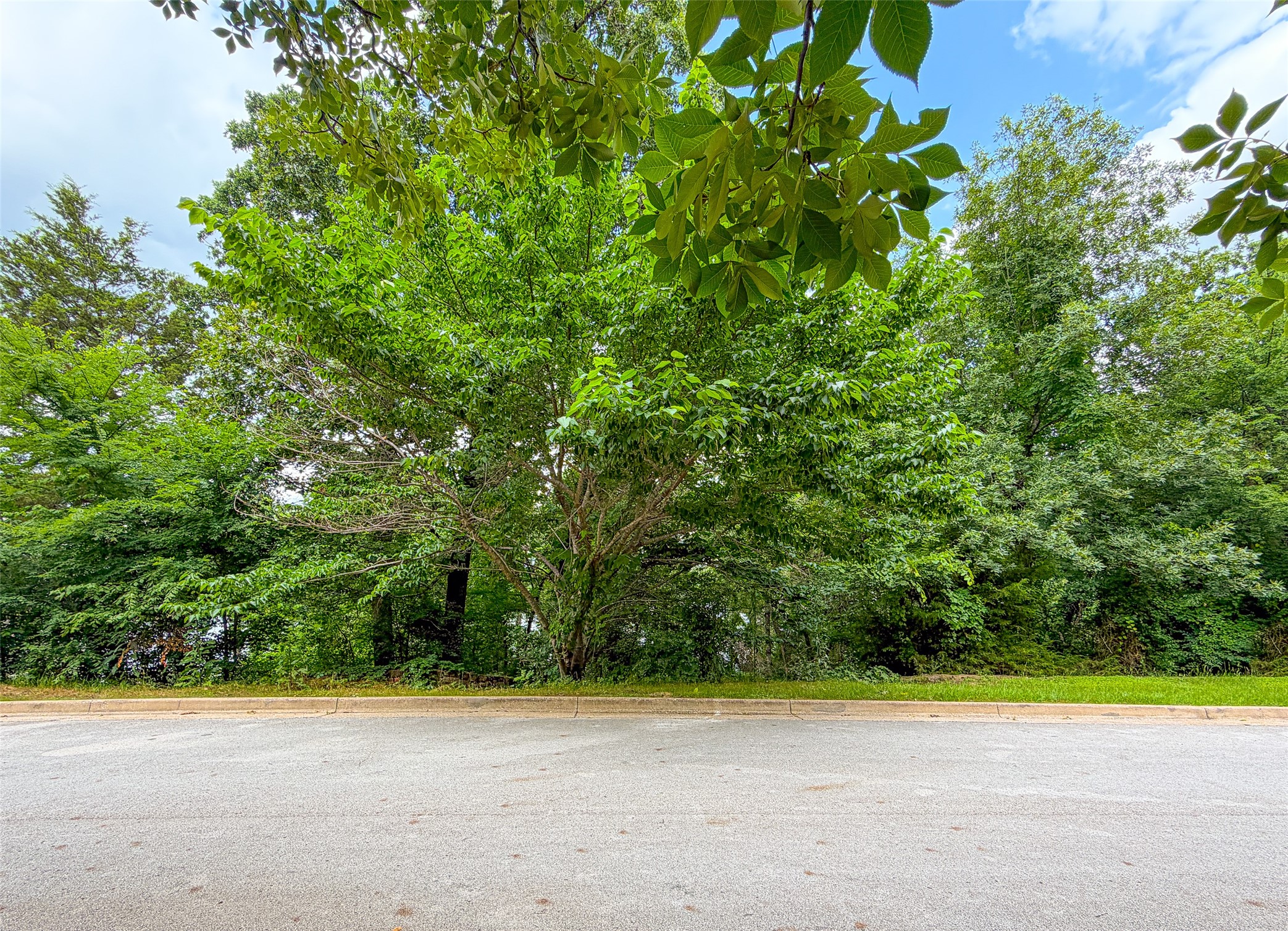 4497 Cascades Shoreline Drive Tyler TX 75709
