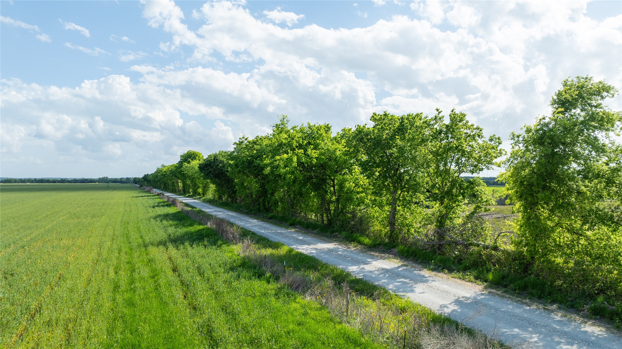 Tbd Lot 5 Cr 26150 Roxton TX 75477