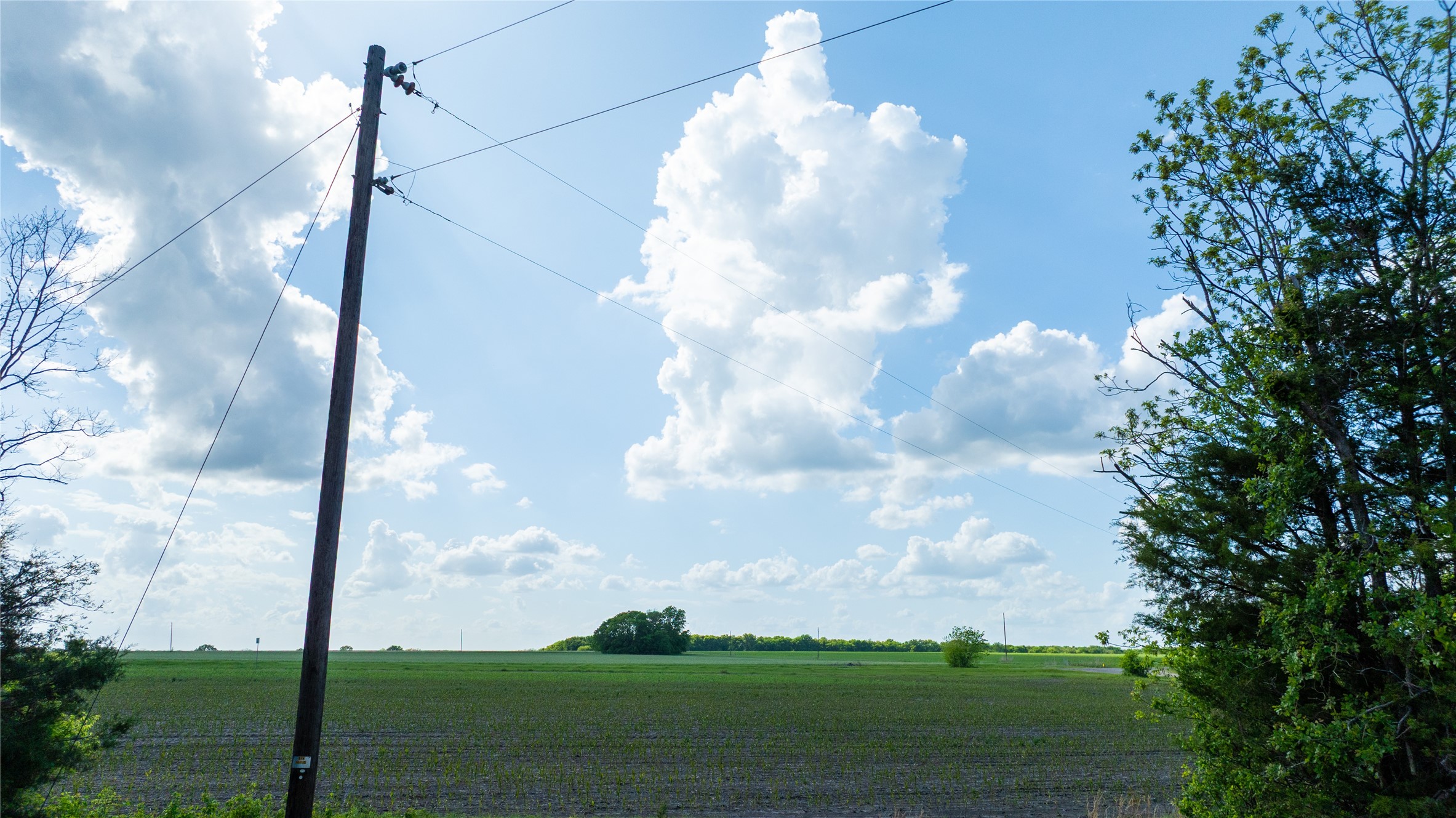 Tbd Lot 5 Cr 26150 Roxton TX 75477