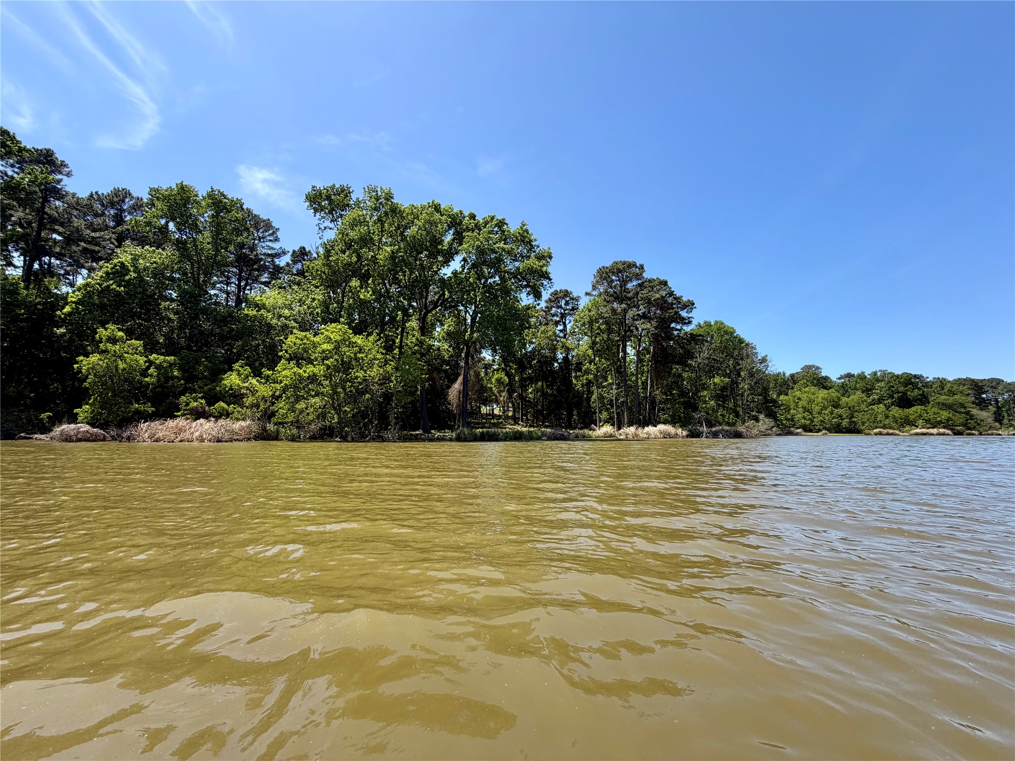 10196 County Road 3202 Chandler TX 75758