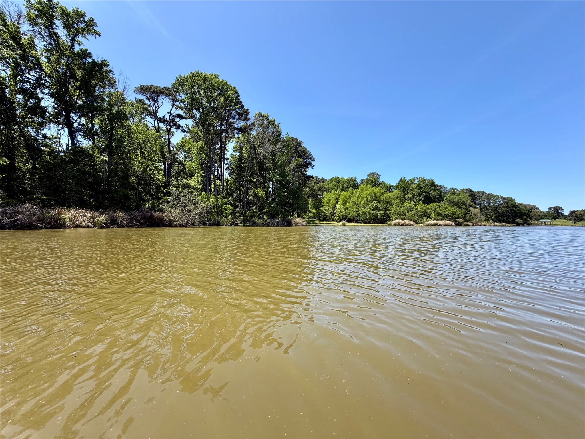 10196 County Road 3202 Chandler TX 75758