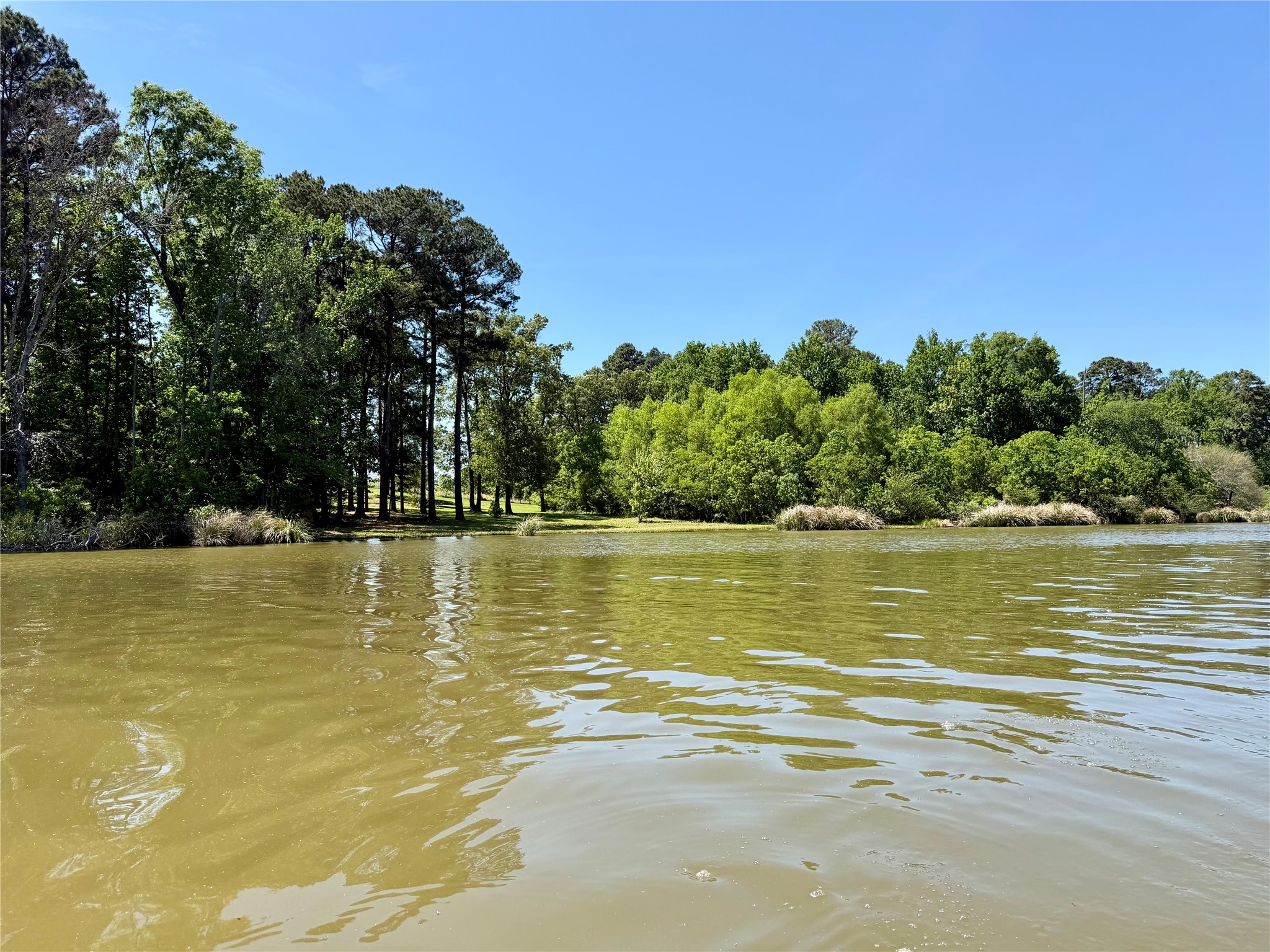 10196 County Road 3202 Chandler TX 75758