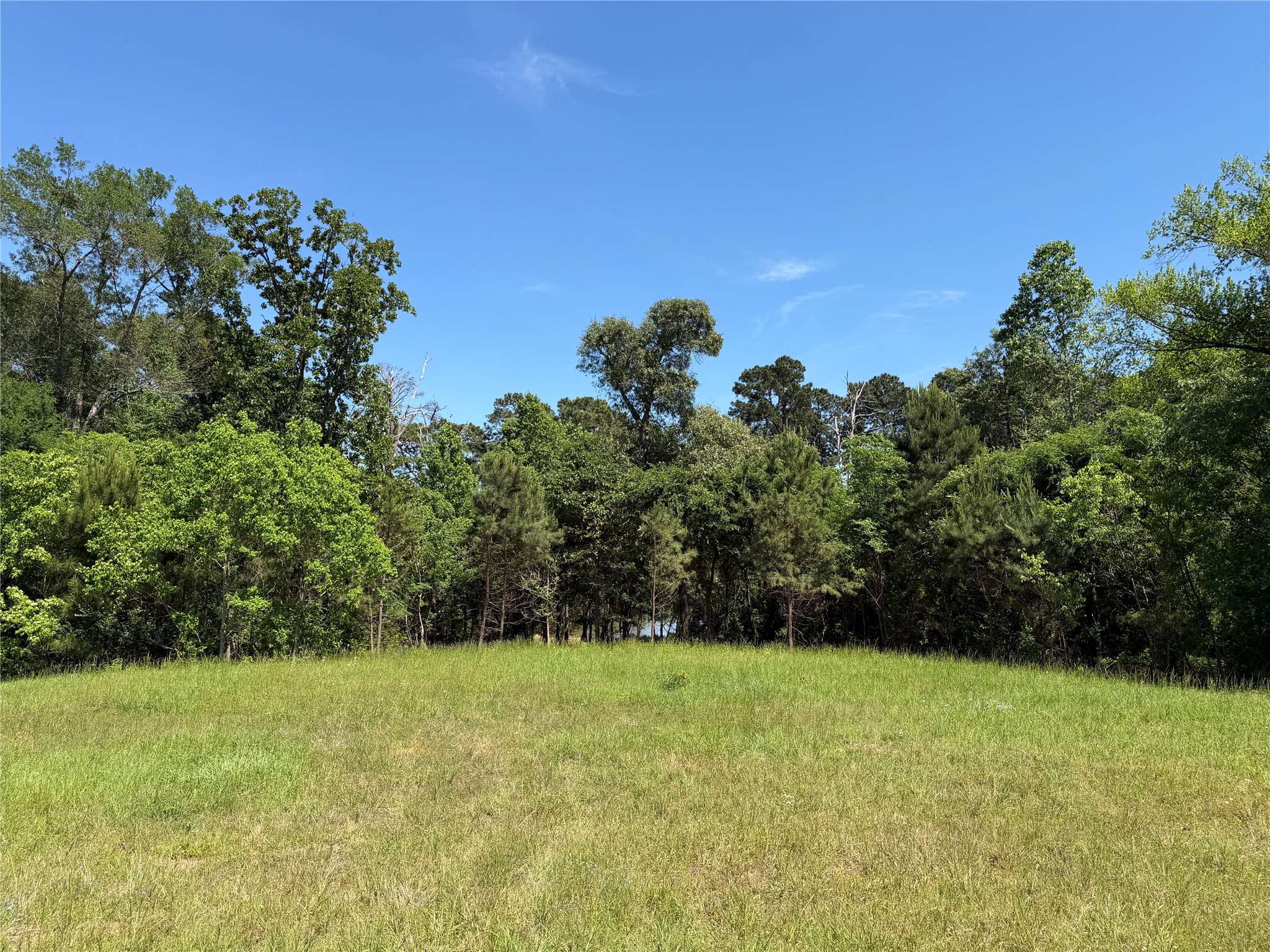 10196 County Road 3202 Chandler TX 75758