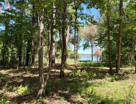 10196 County Road 3202 Chandler TX 75758