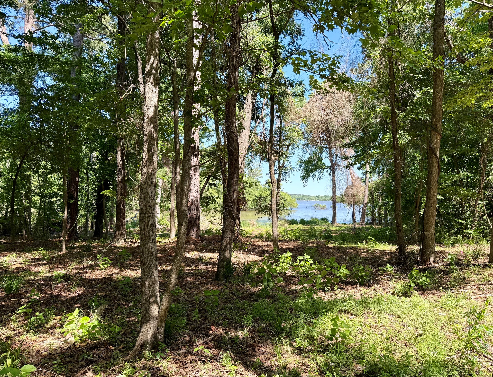 10196 County Road 3202 Chandler TX 75758
