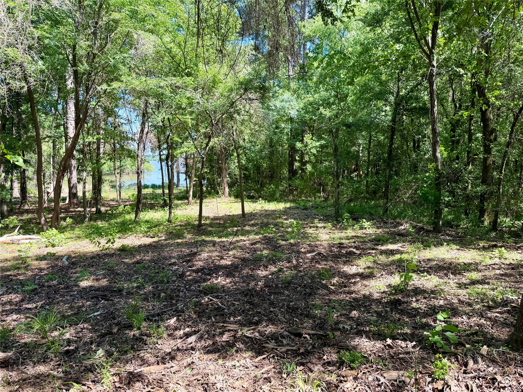 10196 County Road 3202 Chandler TX 75758
