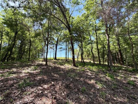 10196 County Road 3202 Chandler TX 75758