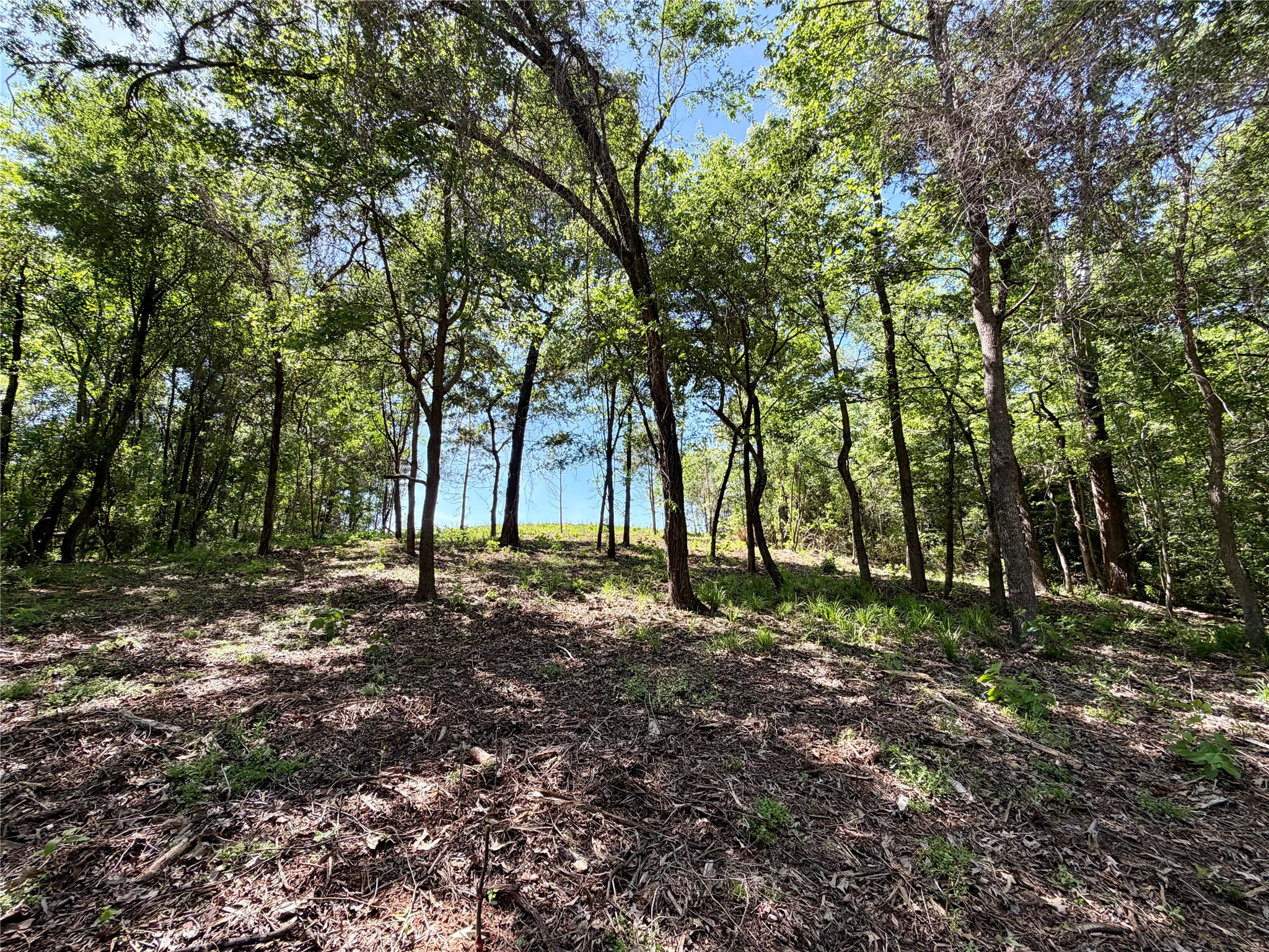 10196 County Road 3202 Chandler TX 75758