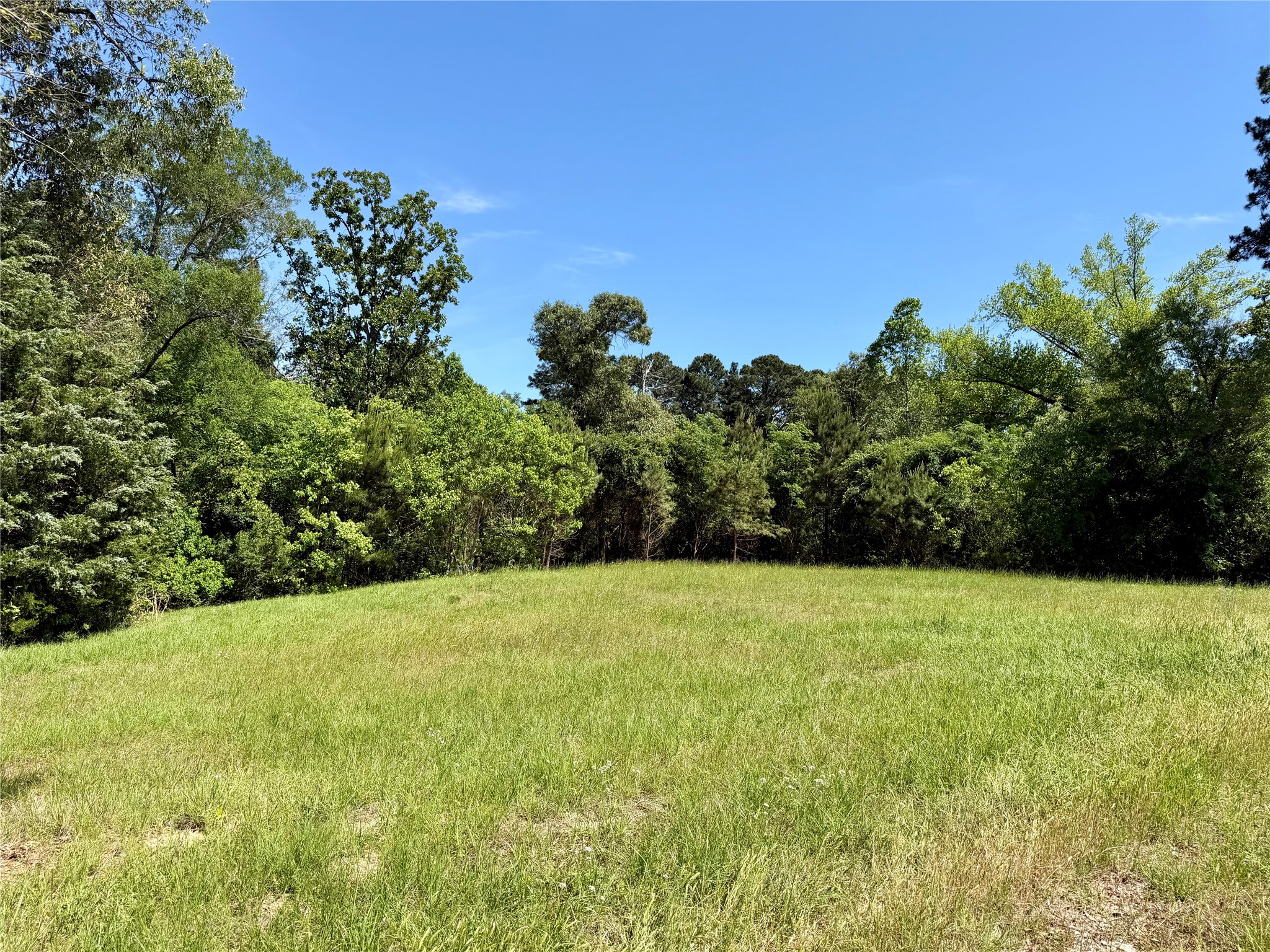 10196 County Road 3202 Chandler TX 75758