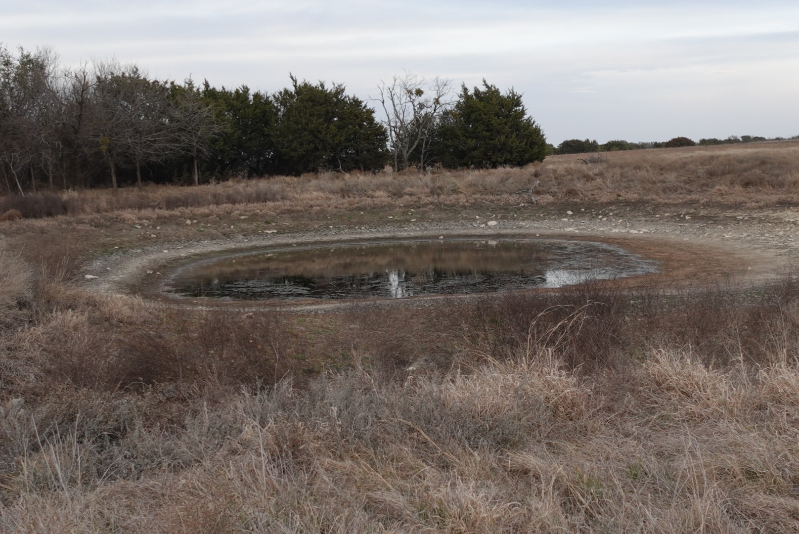 Tbd County Road 320 Dublin TX 76446