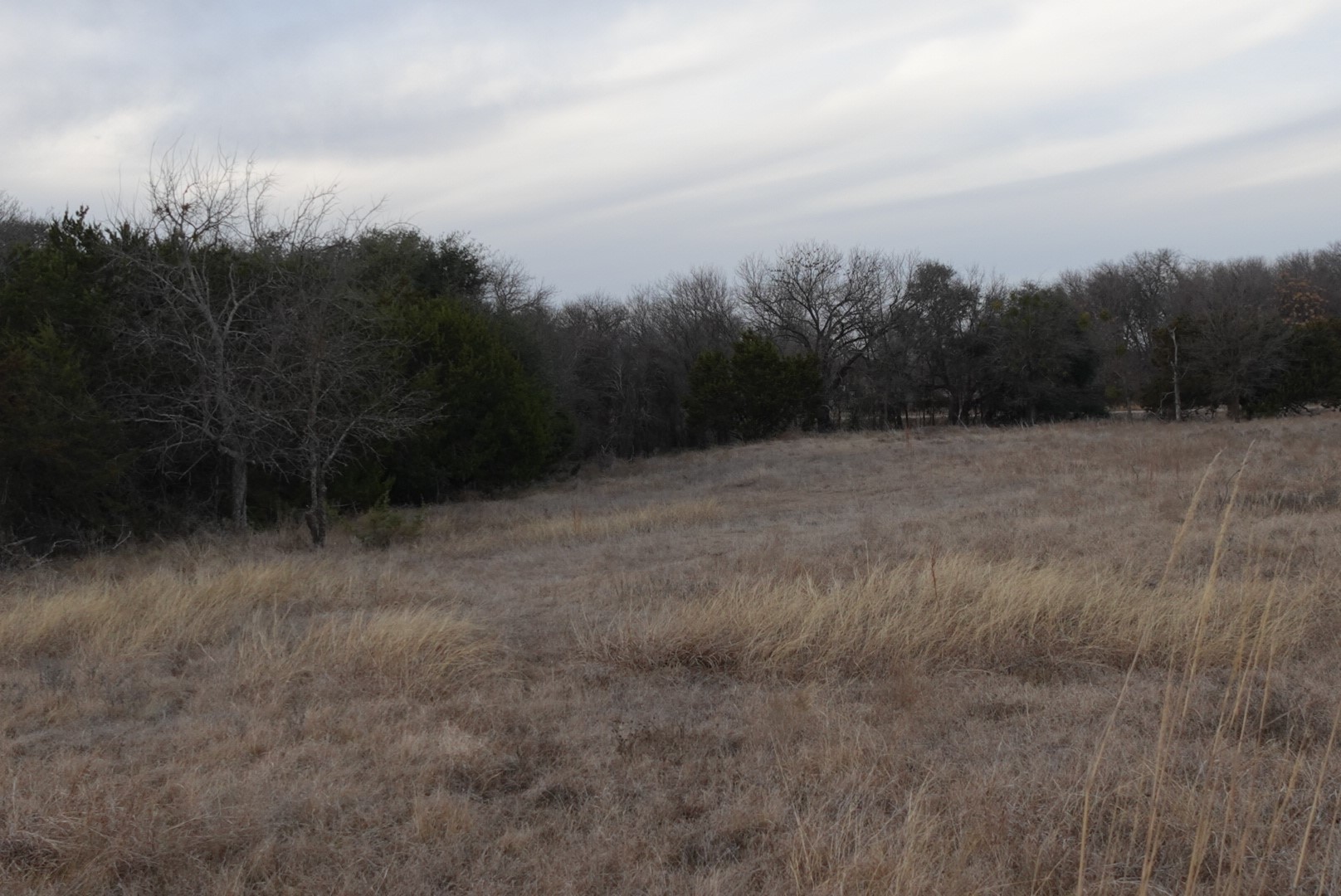 Tbd County Road 320 Dublin TX 76446