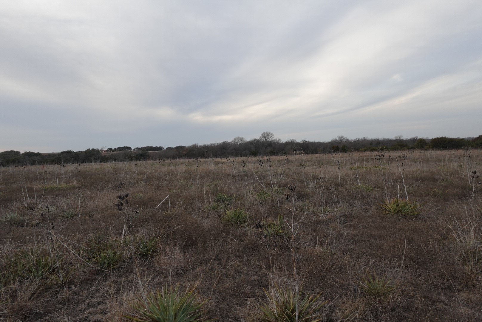 Tbd County Road 320 Dublin TX 76446