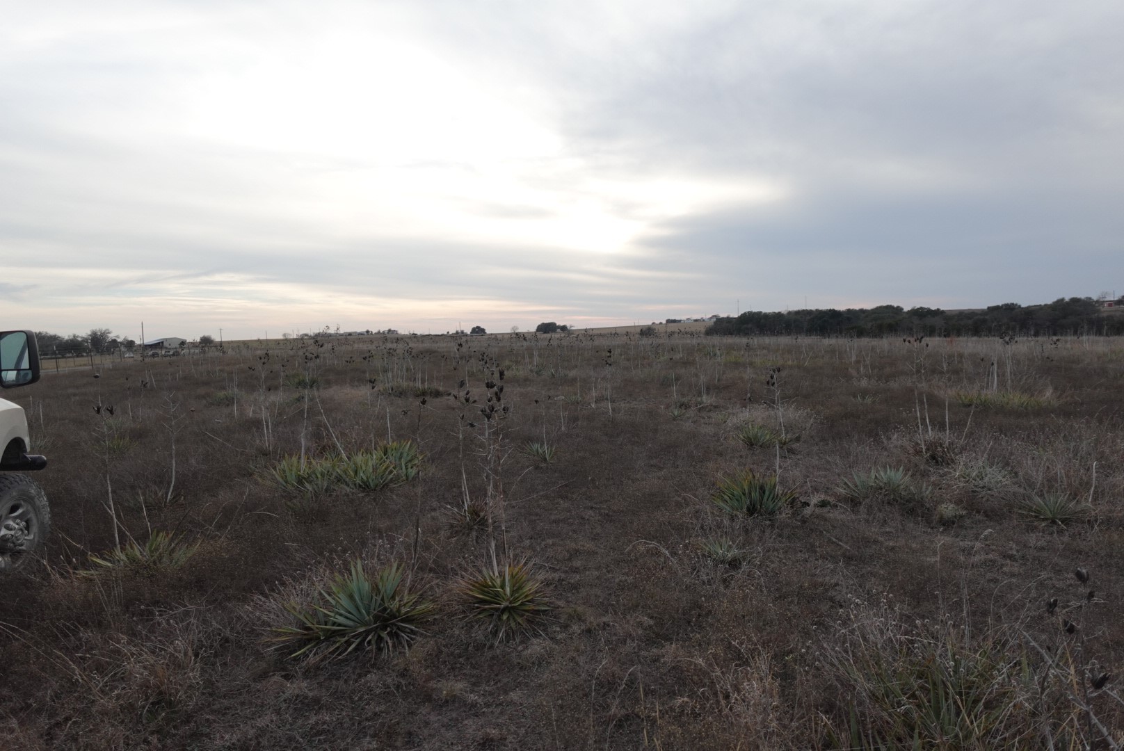 Tbd County Road 320 Dublin TX 76446