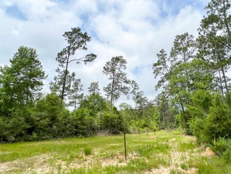 000 Fm 2937/old Arco Road Silsbee TX 77656