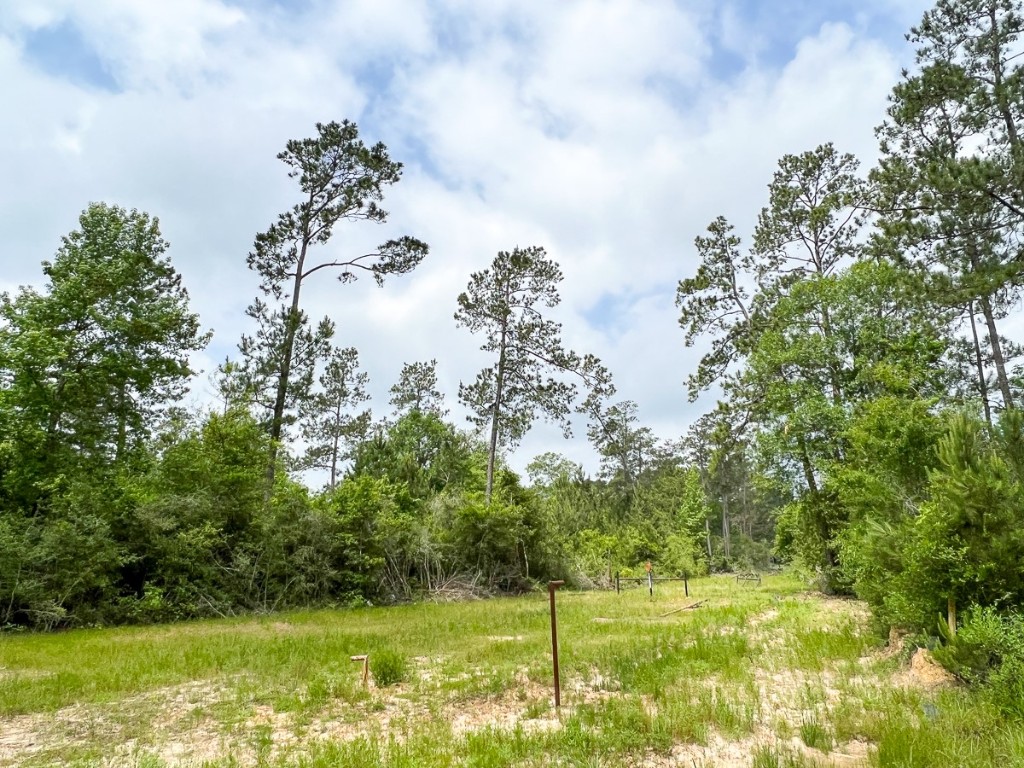 000 Fm 2937/old Arco Road Silsbee TX 77656