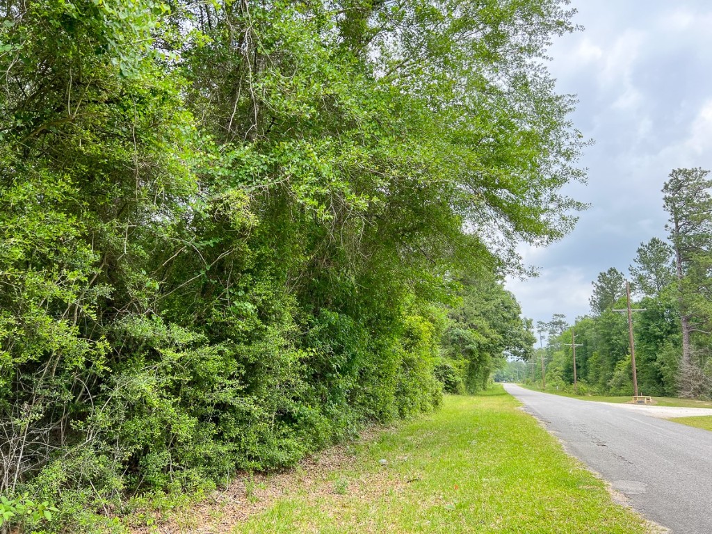 000 Fm 2937/old Arco Road Silsbee TX 77656