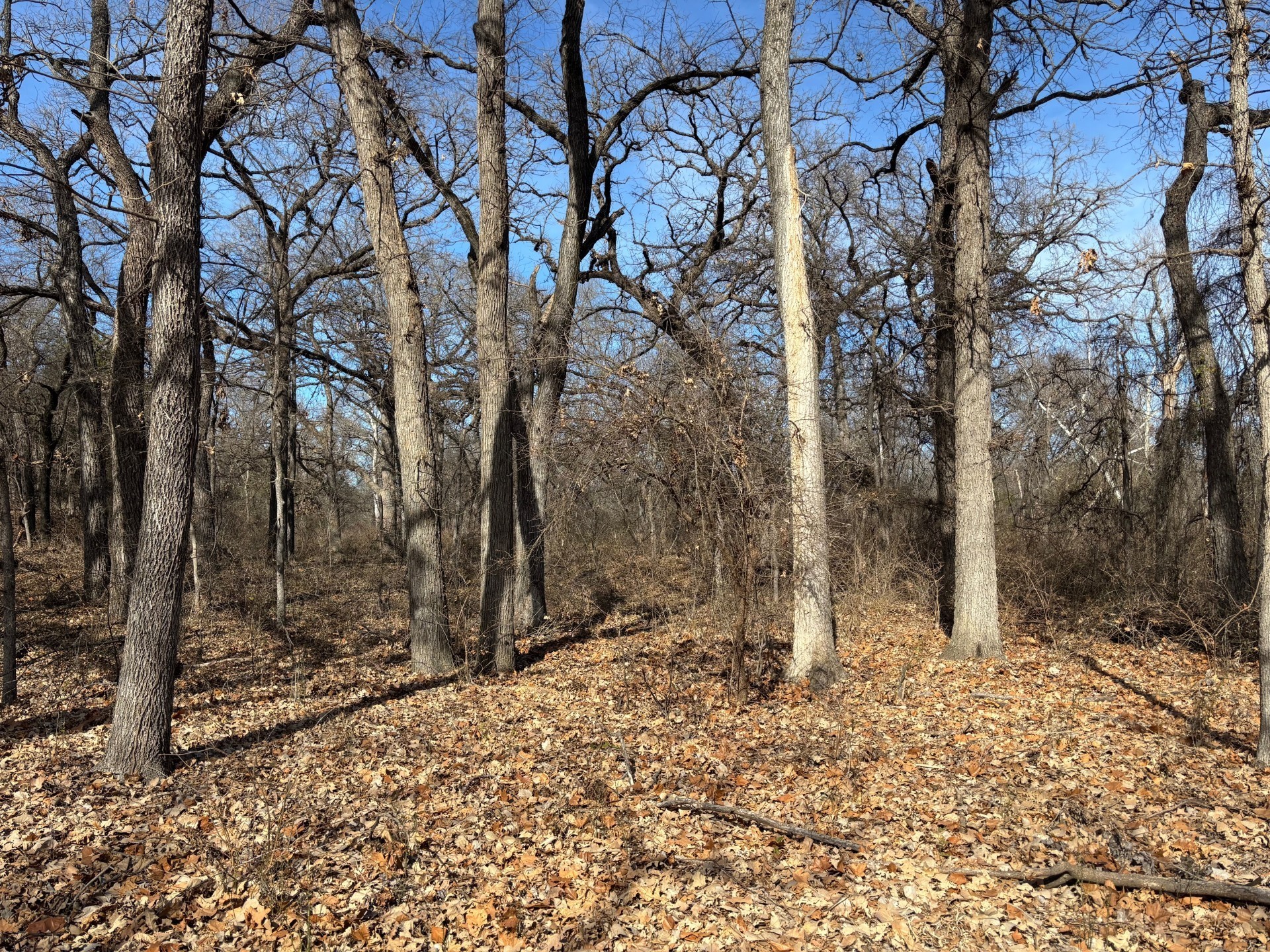 1255 Eagles Bluff Drive Weatherford TX 76087