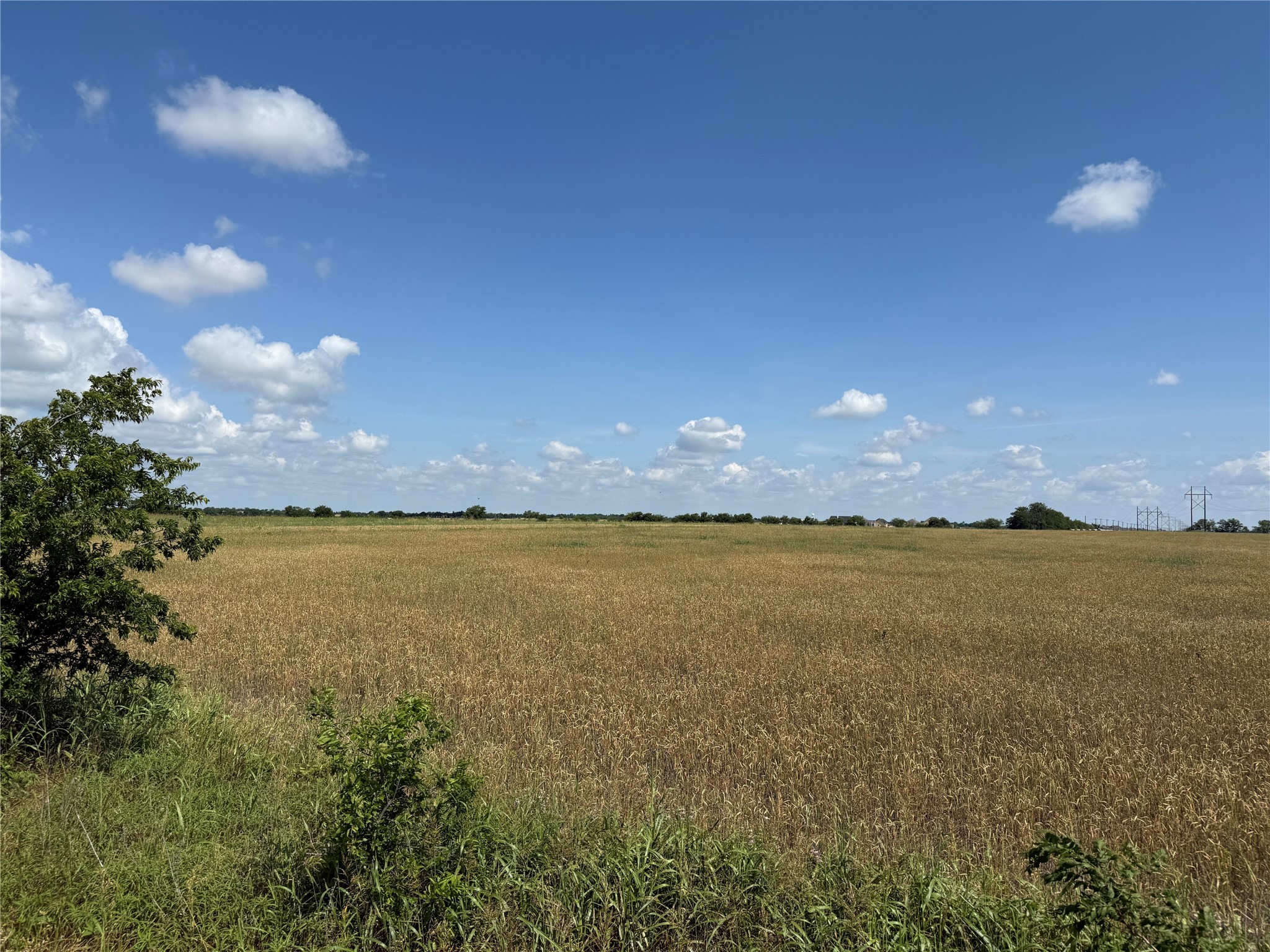 6785 Hoehn Road Valley View TX 76272