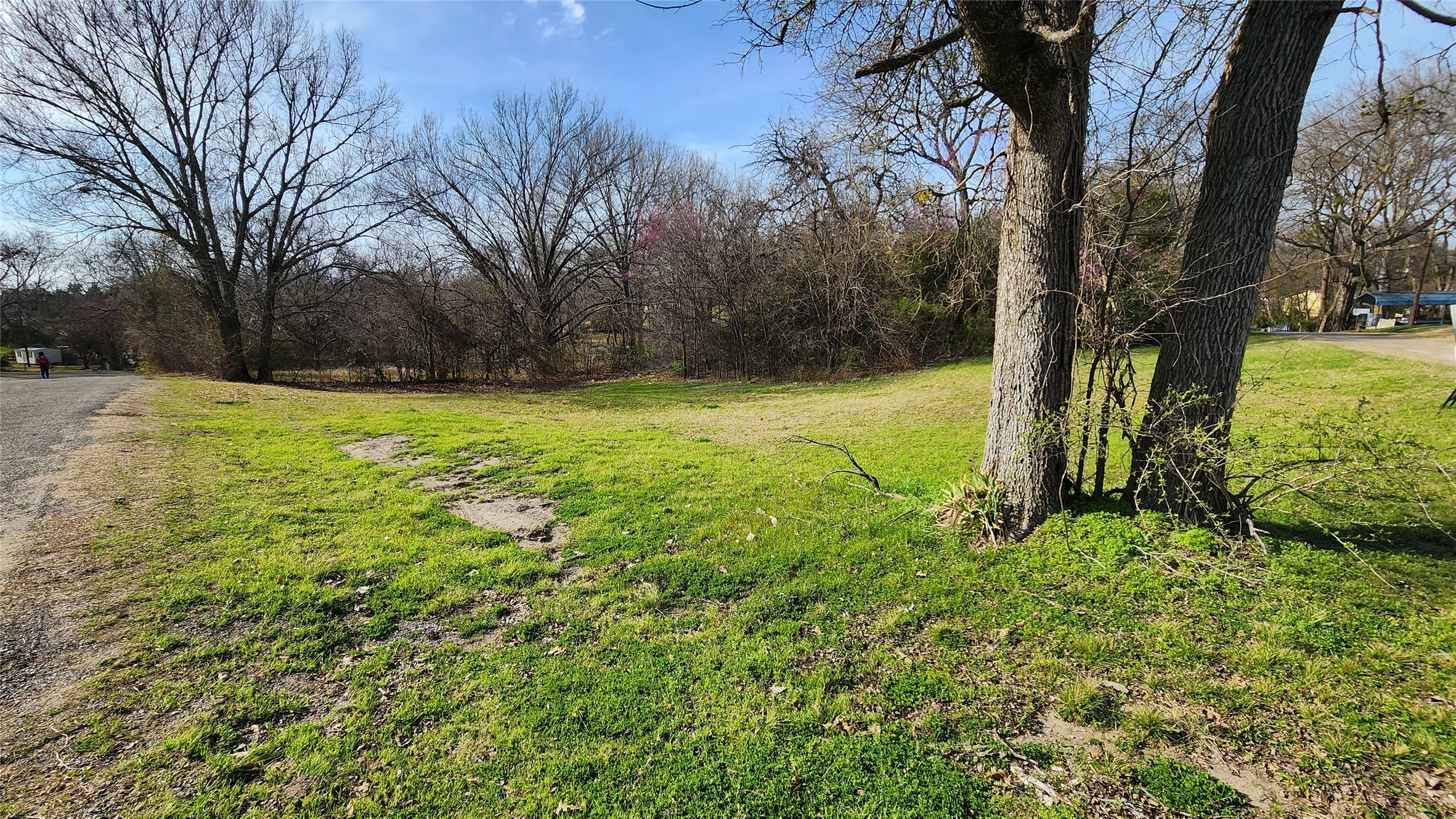 Lot 167 County Road 1633 Lone Oak TX 75453