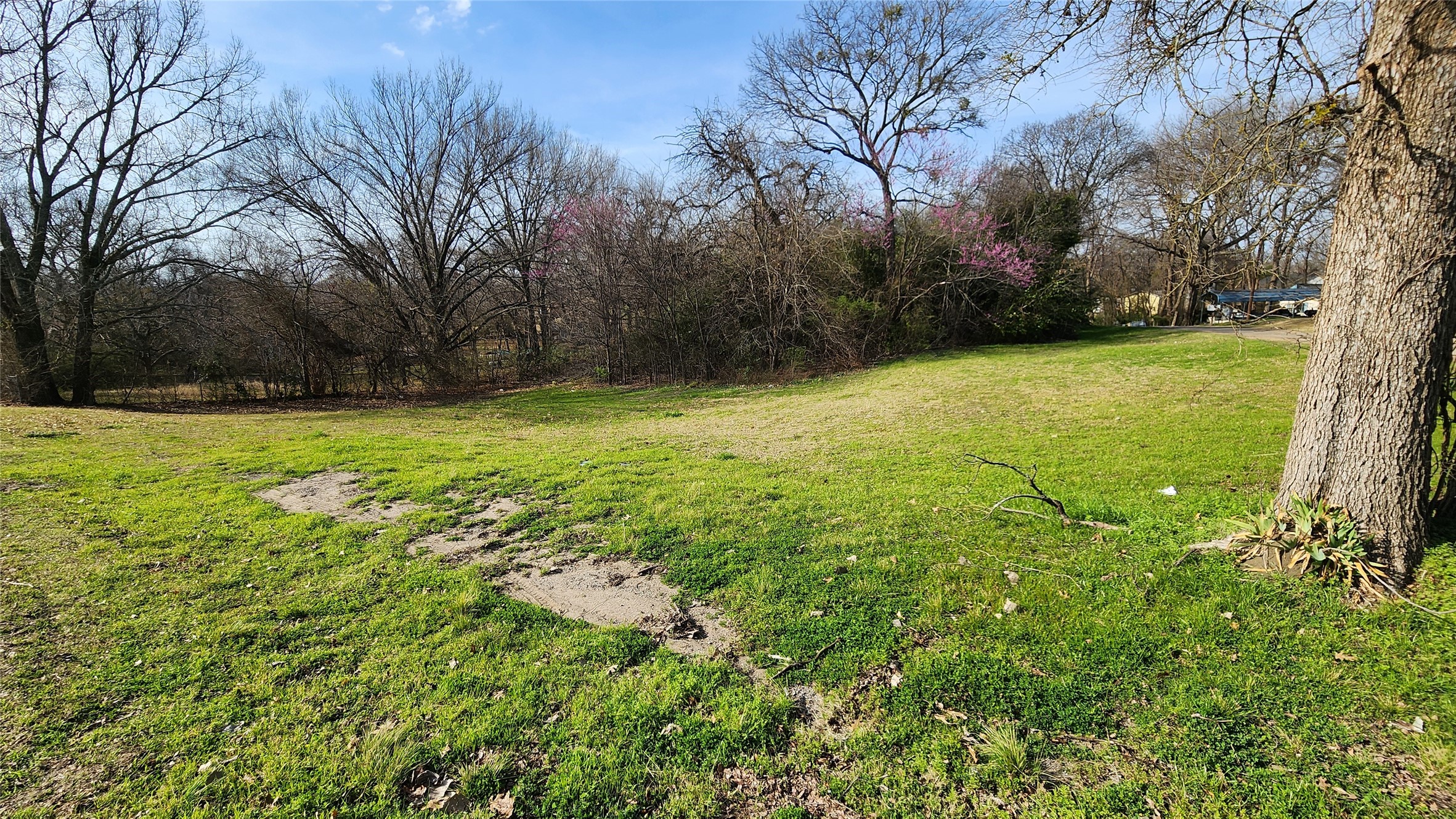Lot 167 County Road 1633 Lone Oak TX 75453