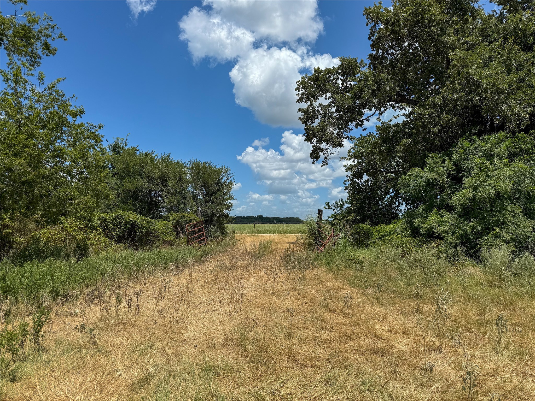 Tbd Fm 413 Kosse TX 76653