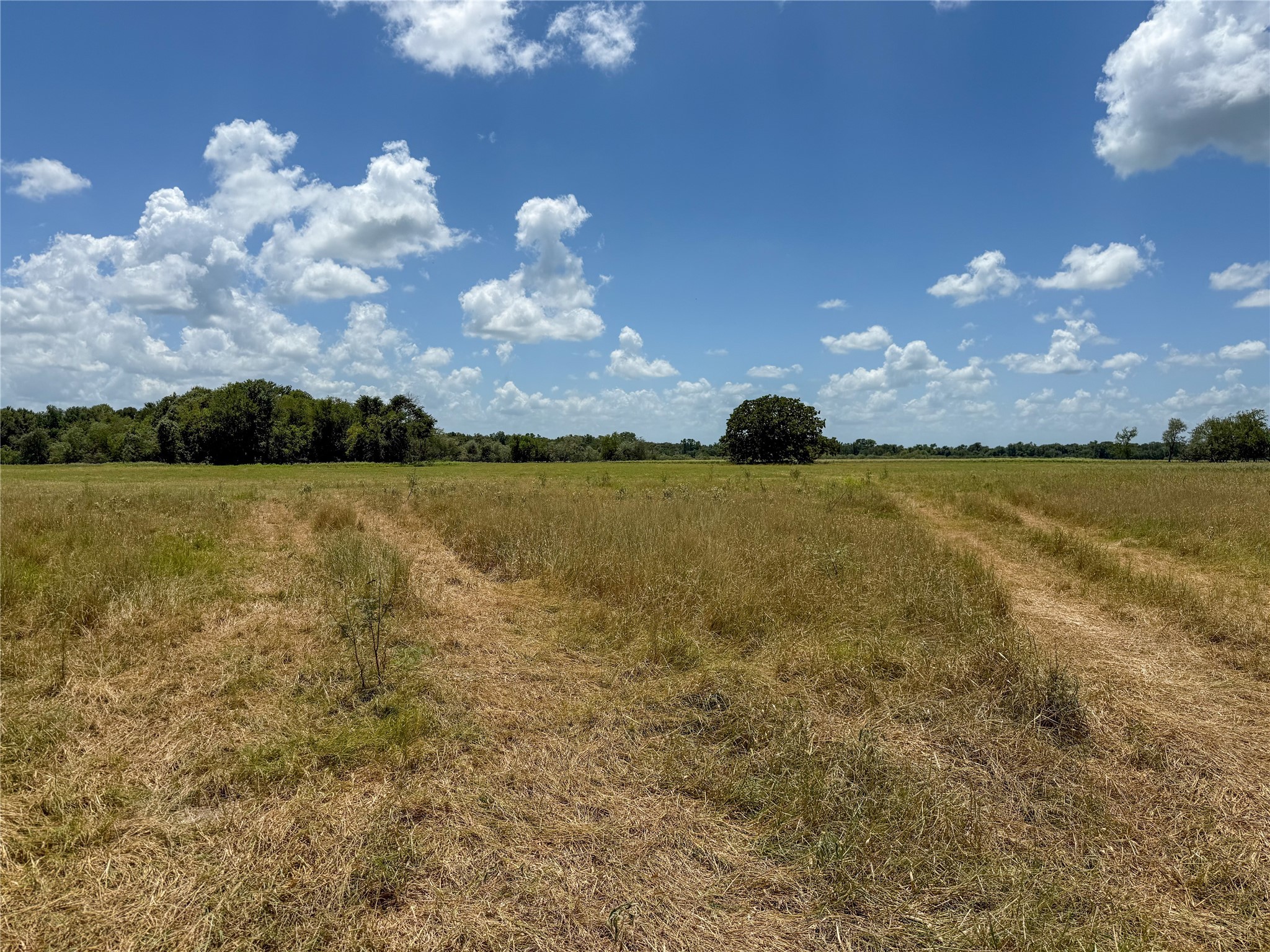 Tbd Fm 413 Kosse TX 76653
