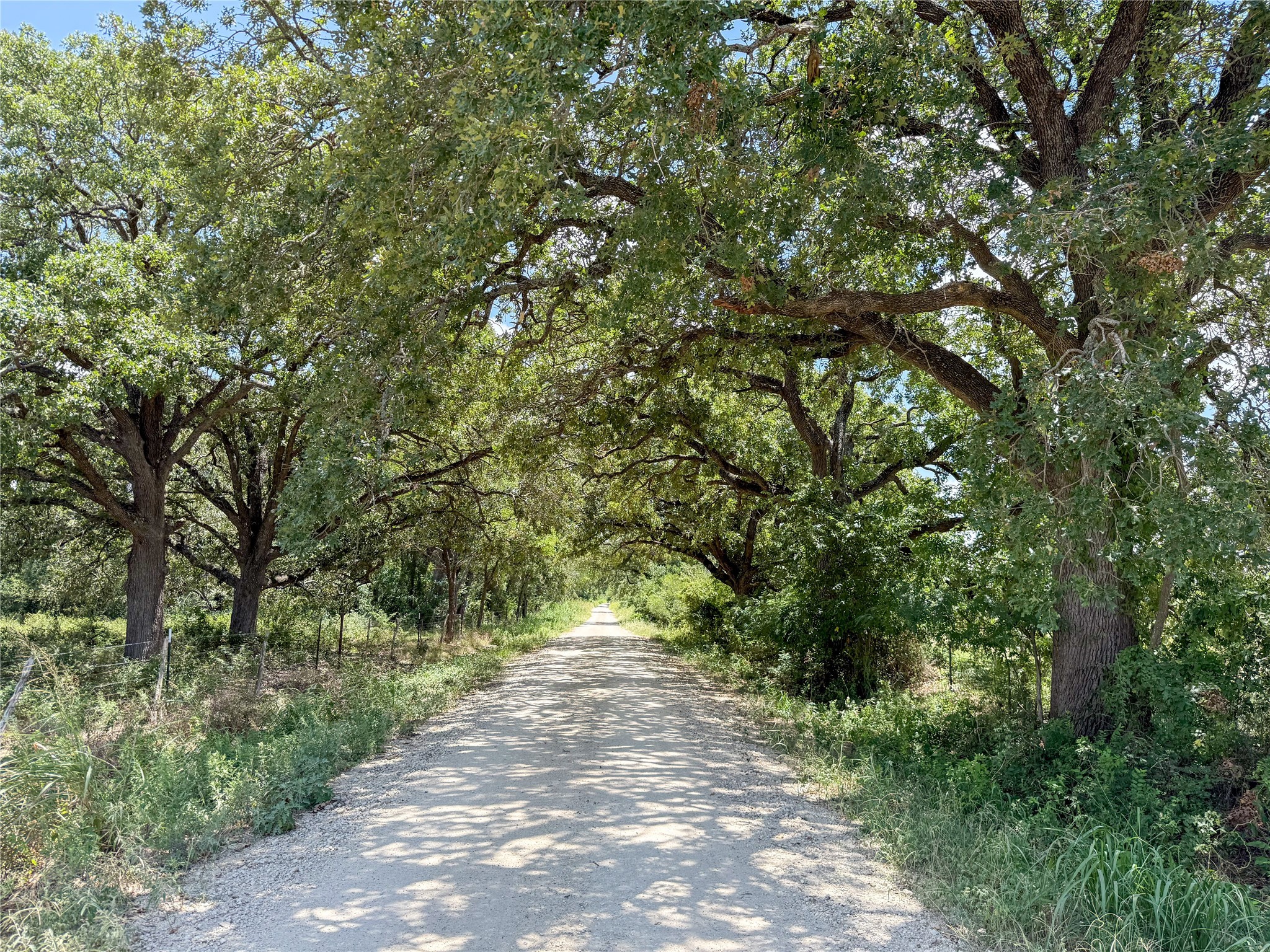 Tbd Fm 413 Kosse TX 76653
