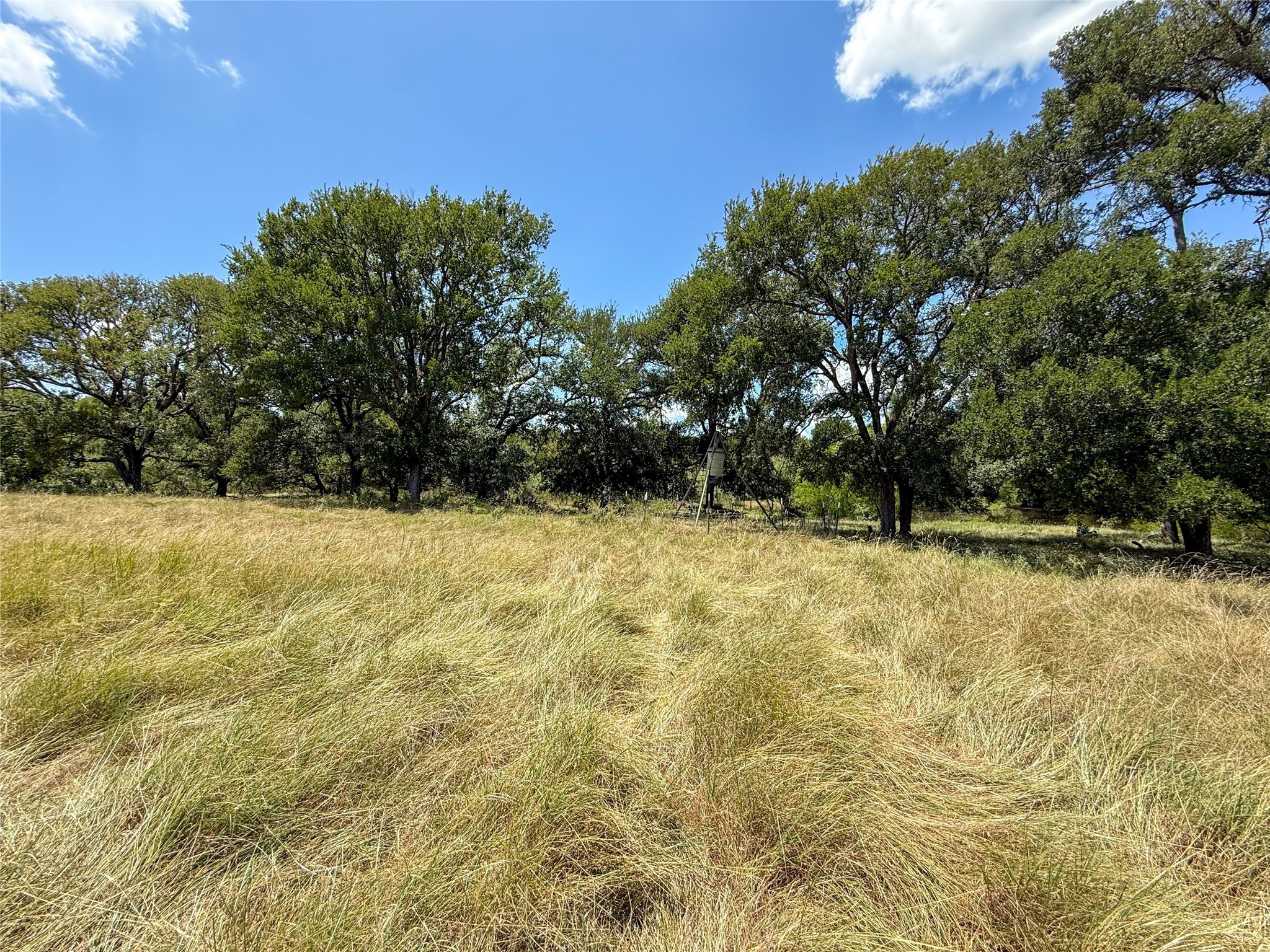 Tbd Fm 413 Kosse TX 76653