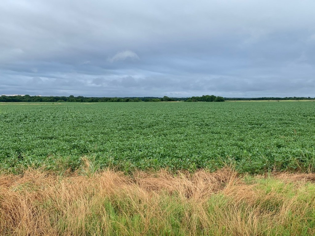 Tba Fm 904 Es Pecan Gap TX 75469