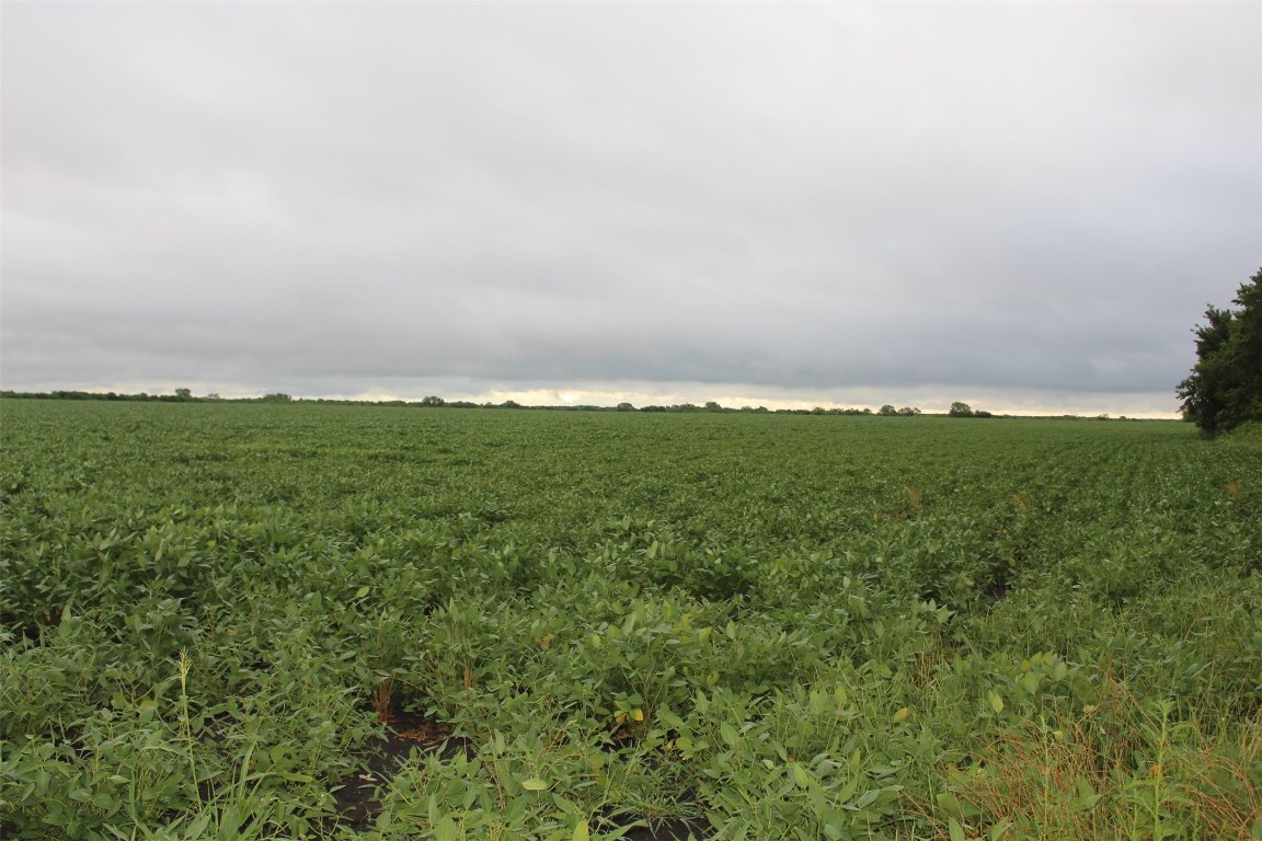 Tba Fm 904 Es Pecan Gap TX 75469