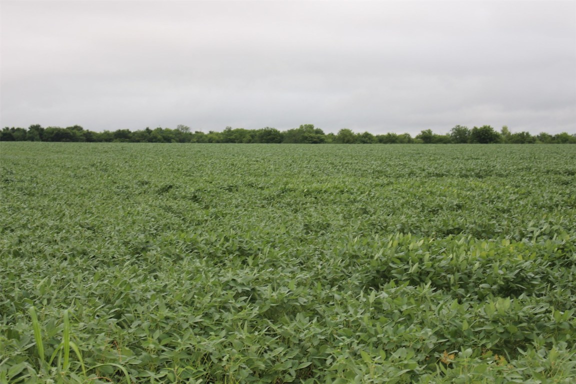 Tba Fm 904 Es Pecan Gap TX 75469