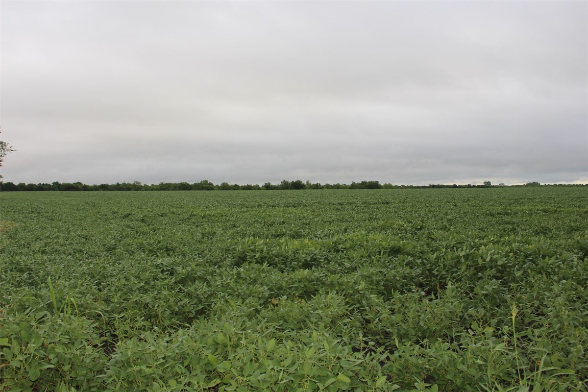 Tba Fm 904 Es Pecan Gap TX 75469