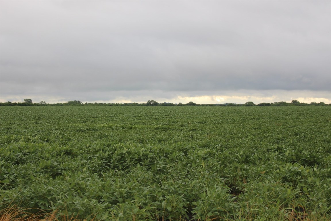 Tba Fm 904 Es Pecan Gap TX 75469