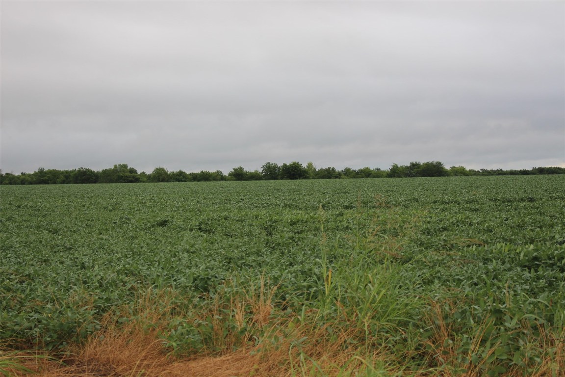 Tba Fm 904 Es Pecan Gap TX 75469