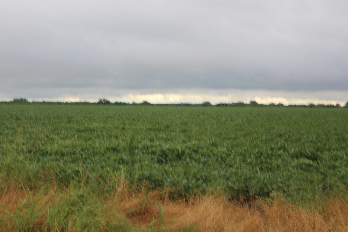 Tba Fm 904 Es Pecan Gap TX 75469