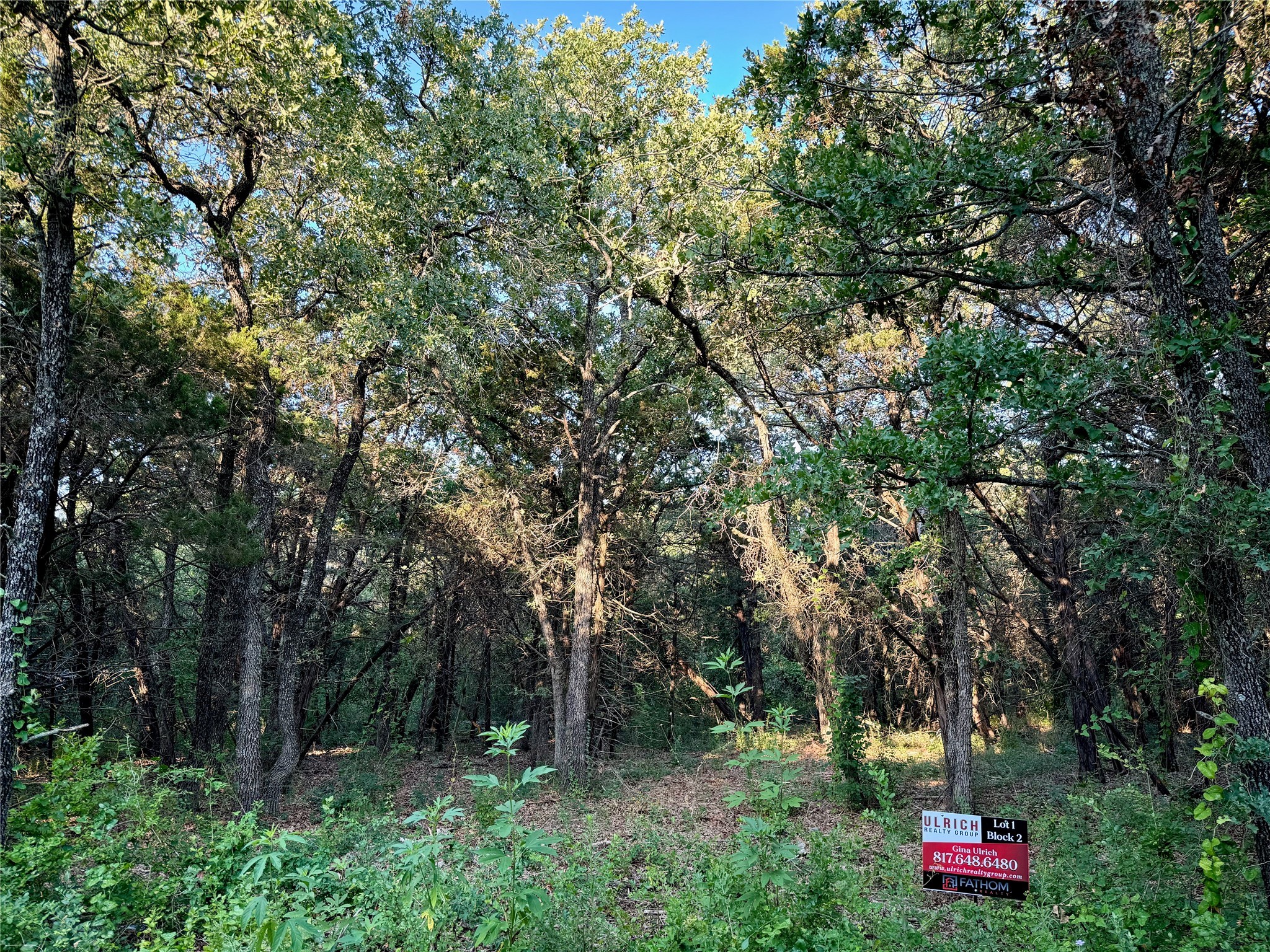 Tbd County Road 1117 Cleburne TX 76033