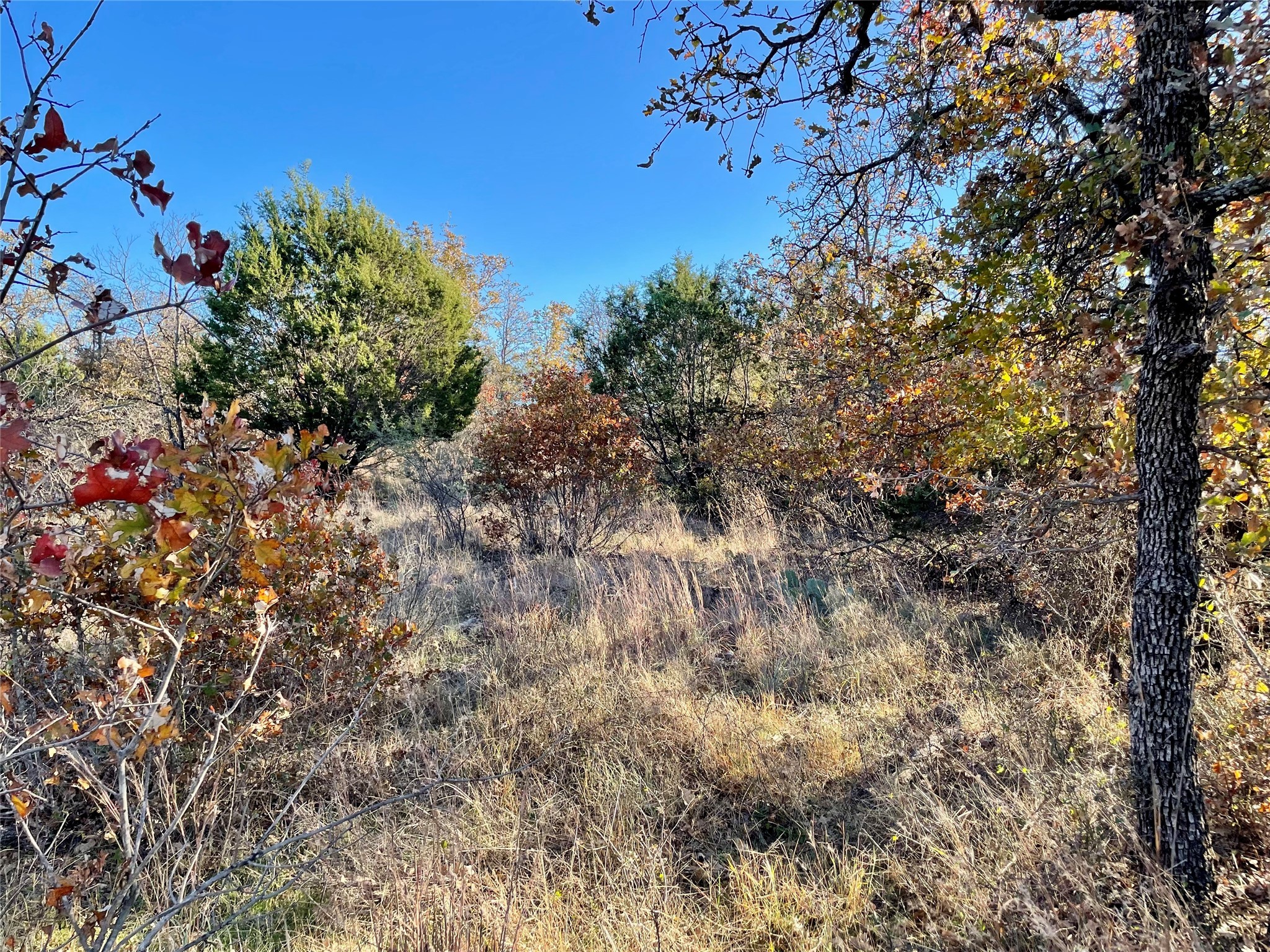 Lot 81 Hidden Shores Drive Cisco TX 76437