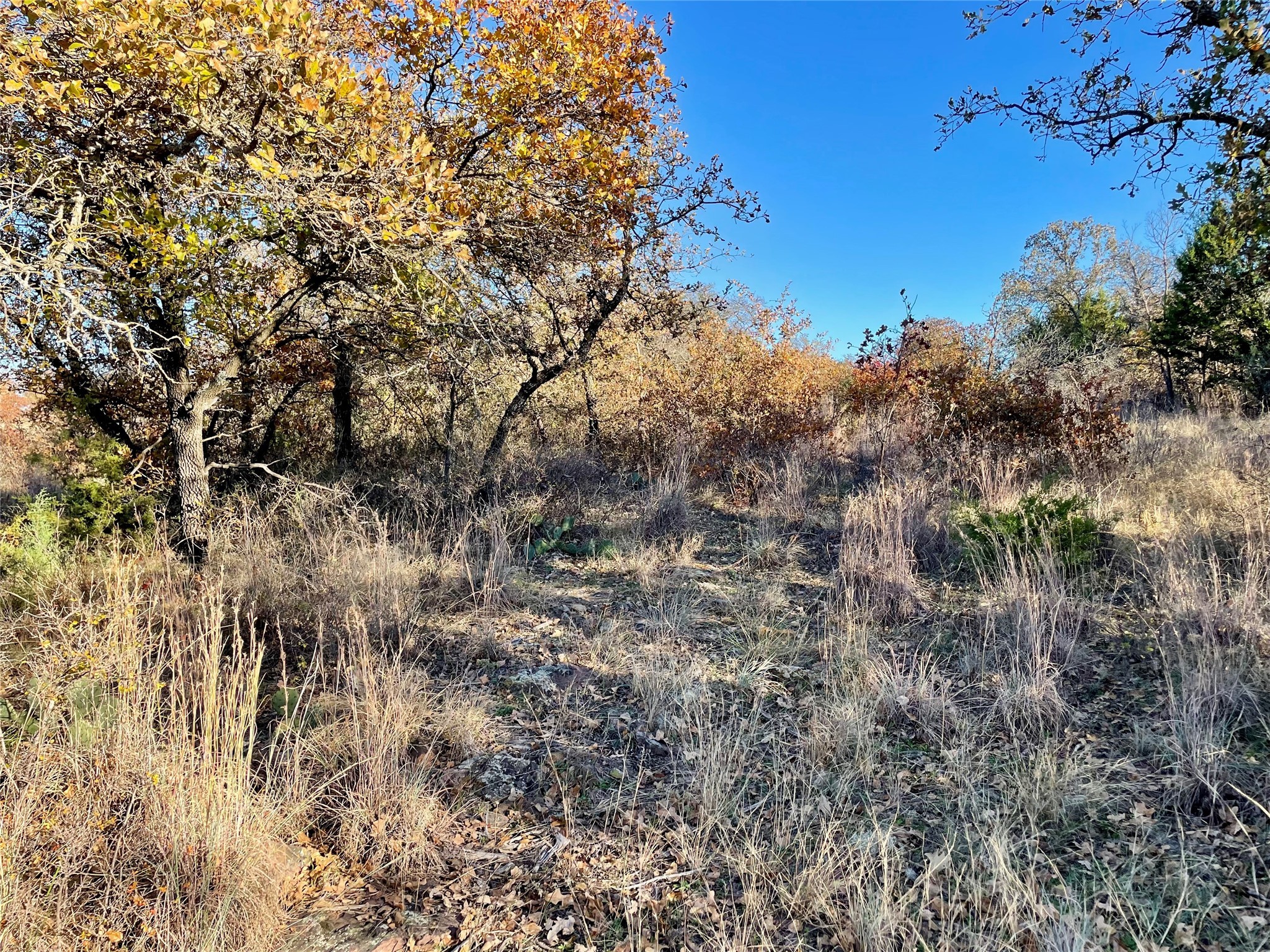 Lot 81 Hidden Shores Drive Cisco TX 76437