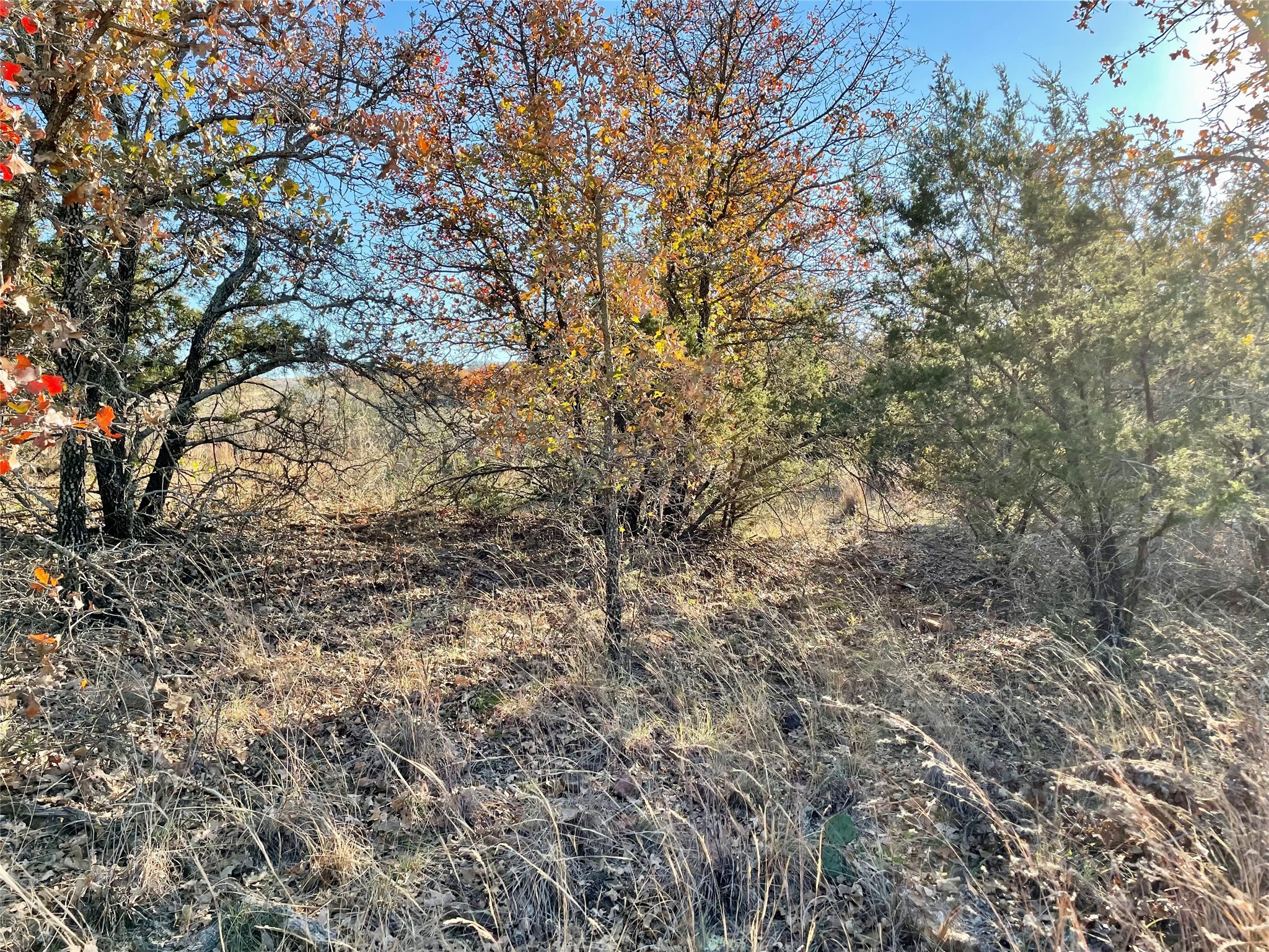 Lot 81 Hidden Shores Drive Cisco TX 76437