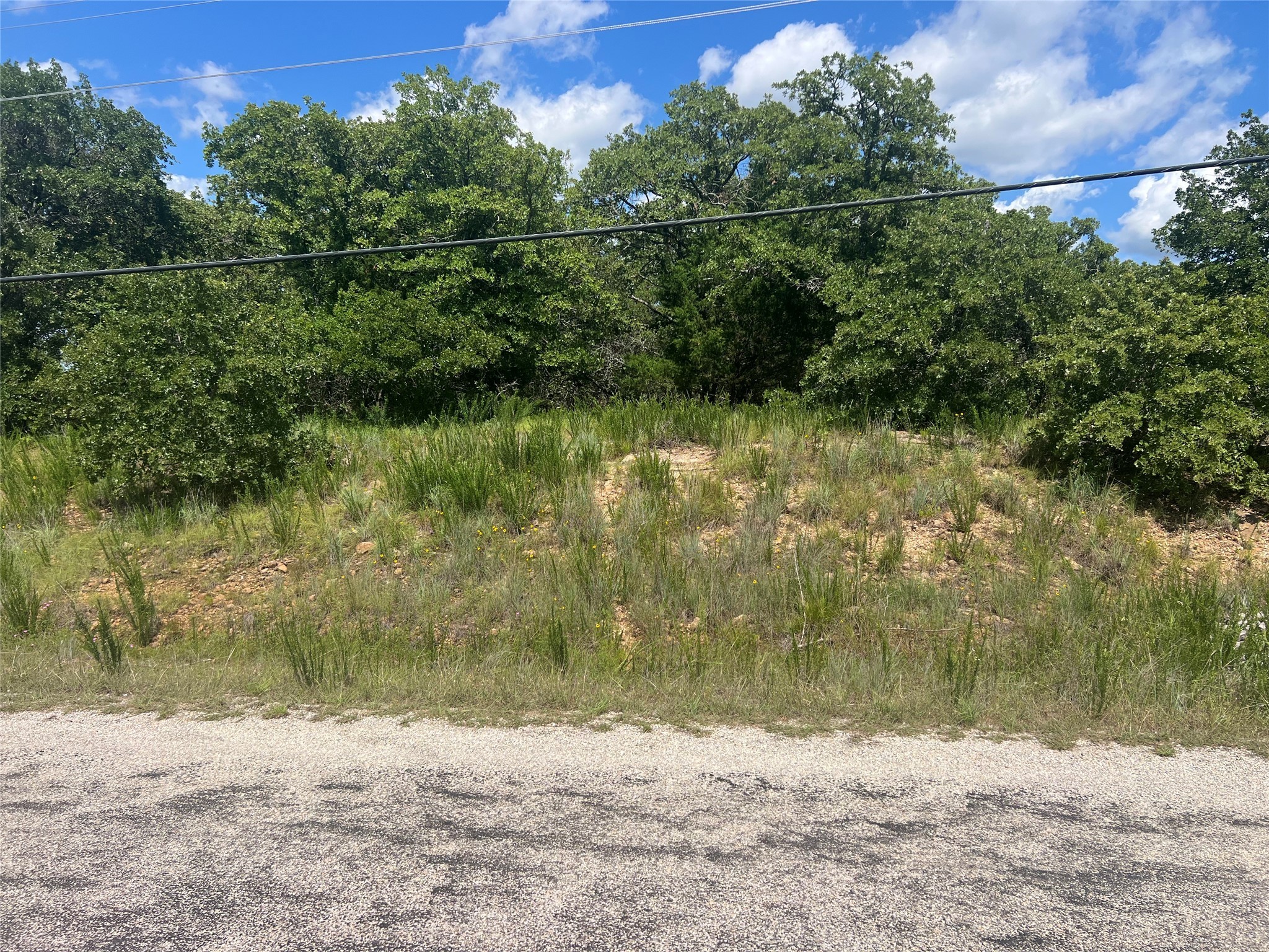 Lot 479 Bluffs Avenue Bowie TX 76230