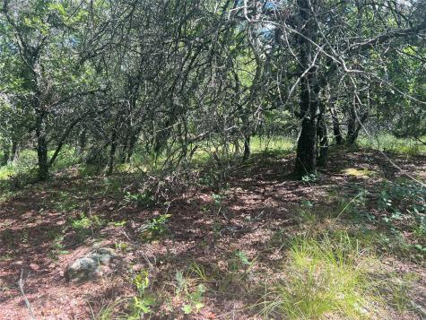 Lot 479 Bluffs Avenue Bowie TX 76230