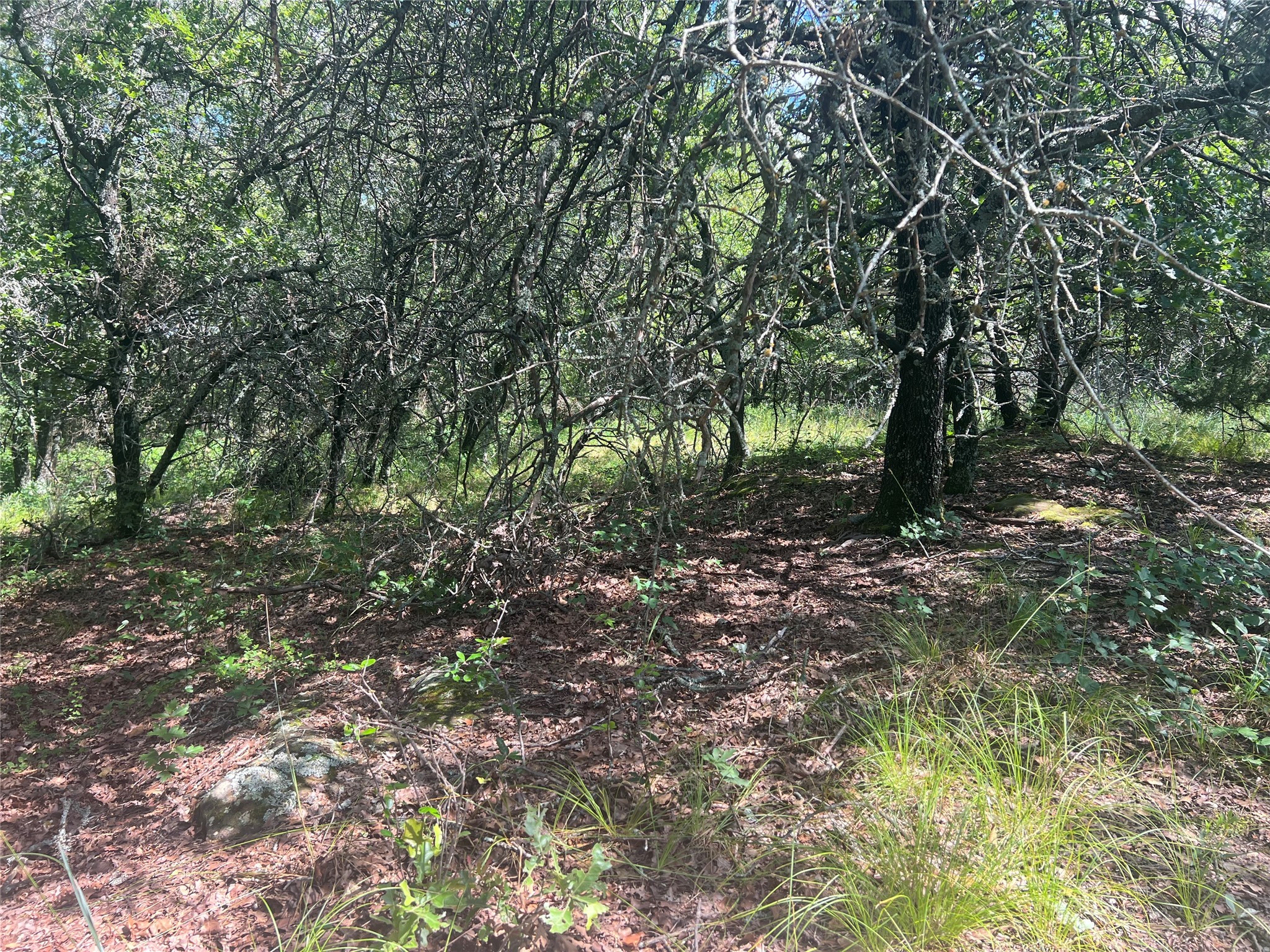 Lot 479 Bluffs Avenue Bowie TX 76230