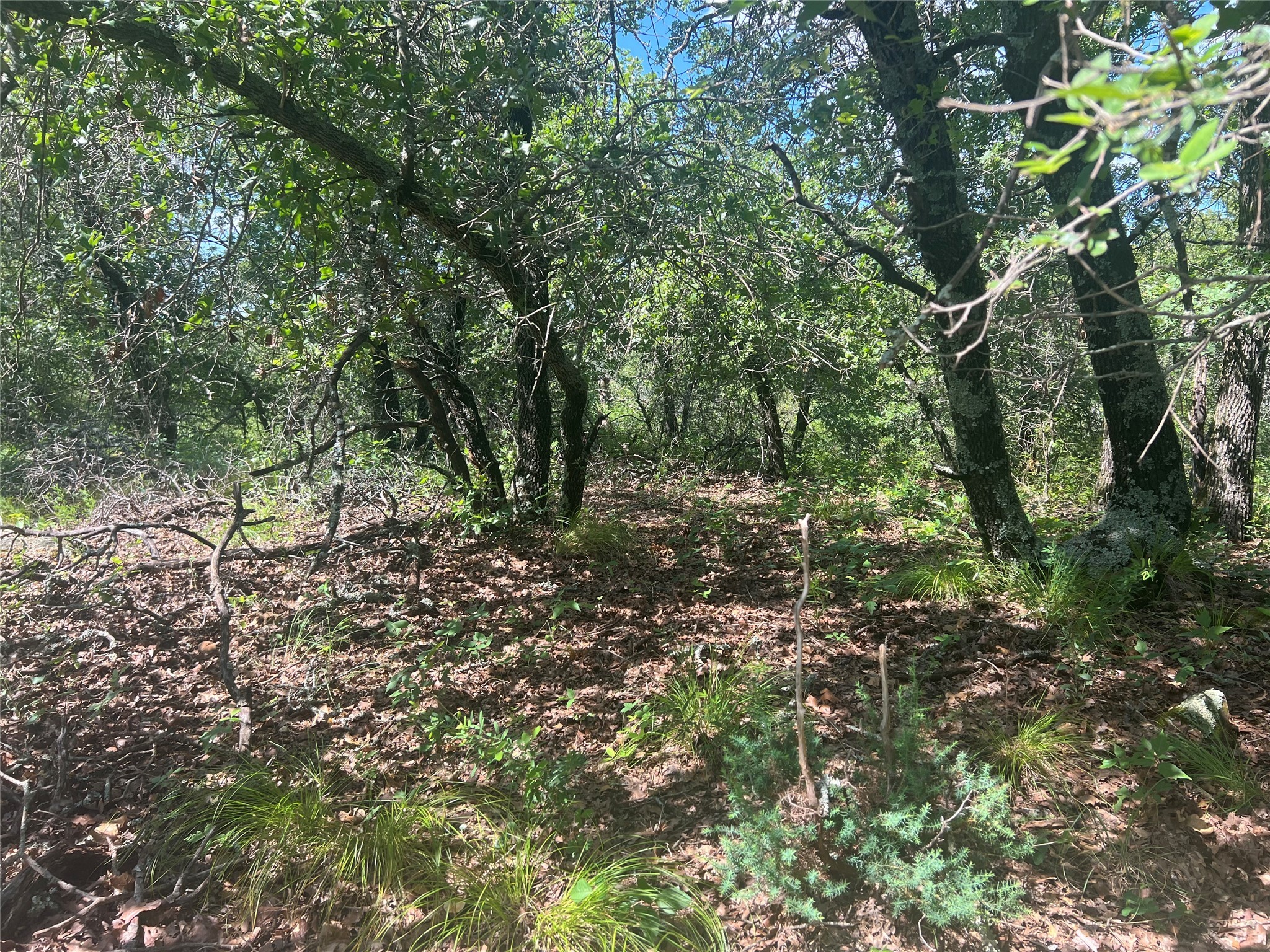 Lot 479 Bluffs Avenue Bowie TX 76230
