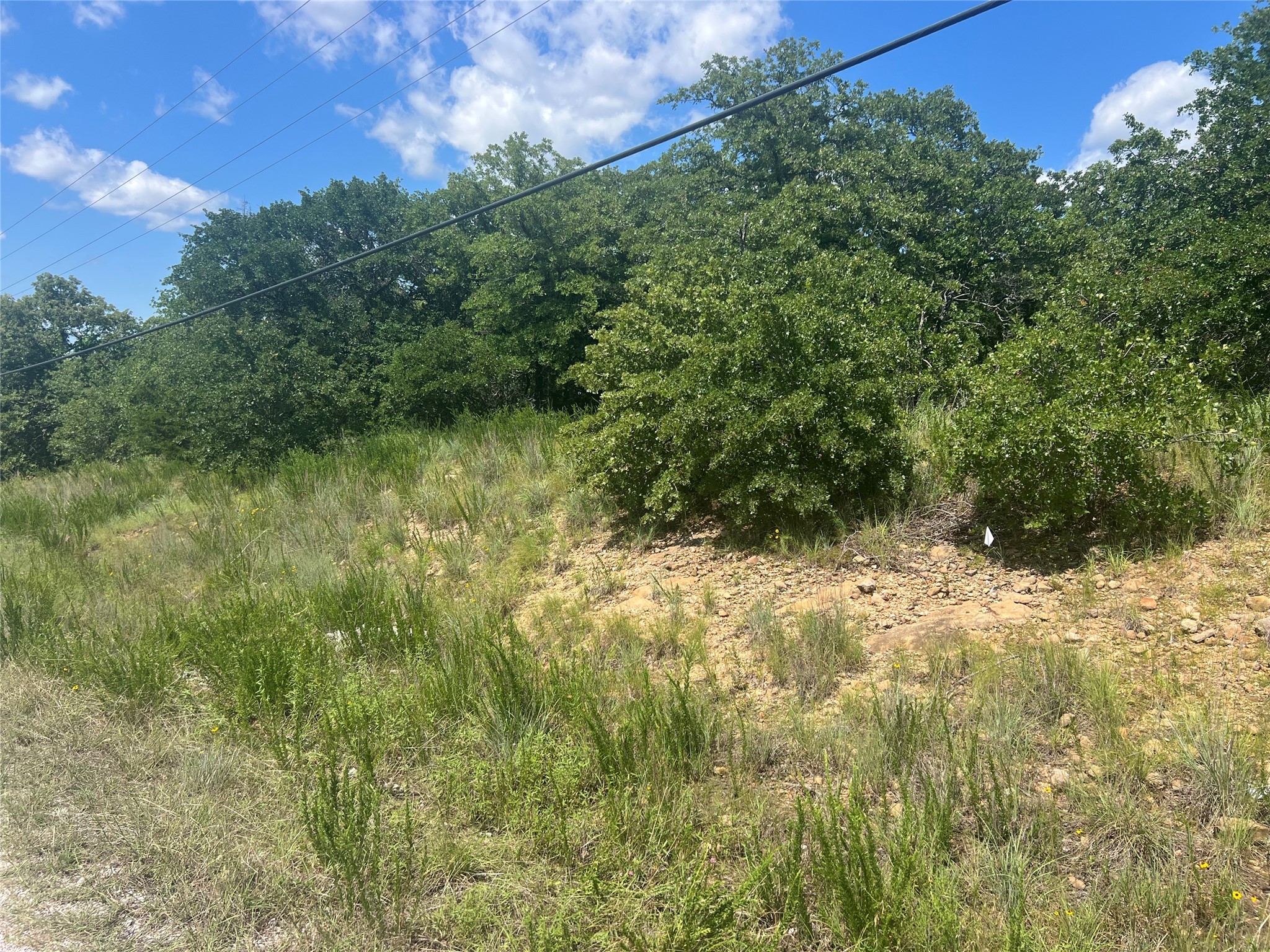 Lot 479 Bluffs Avenue Bowie TX 76230